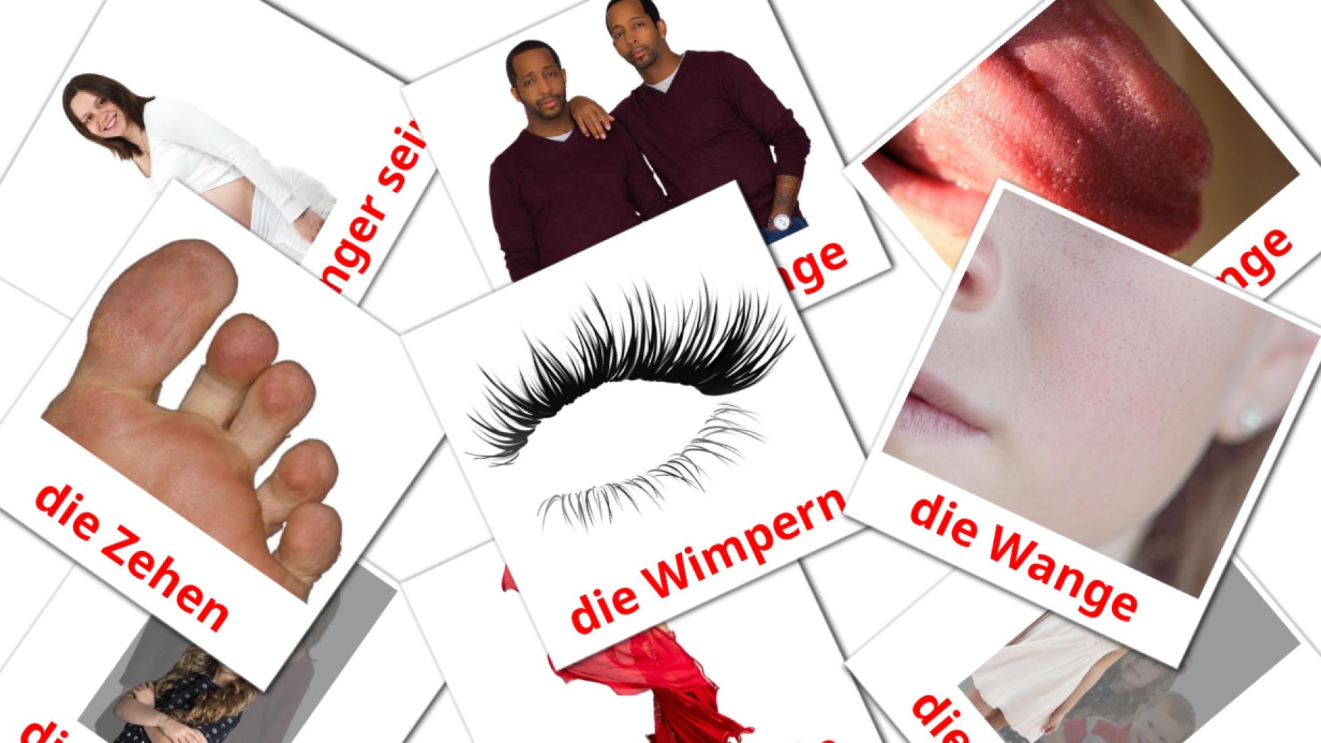 Menschen Vocabulário em alemão Flashcards