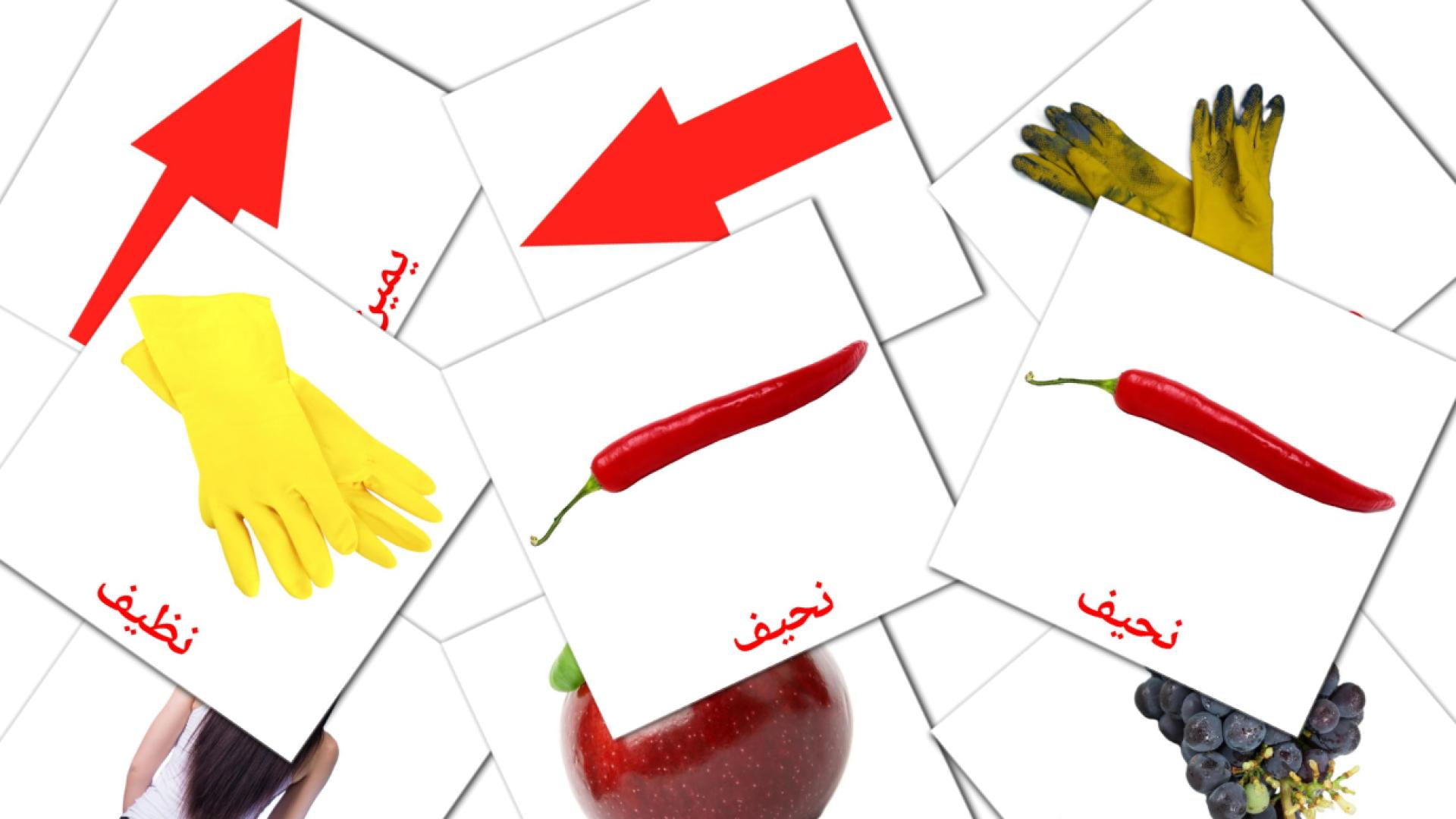 الصفات Vocabulário em árabe Flashcards