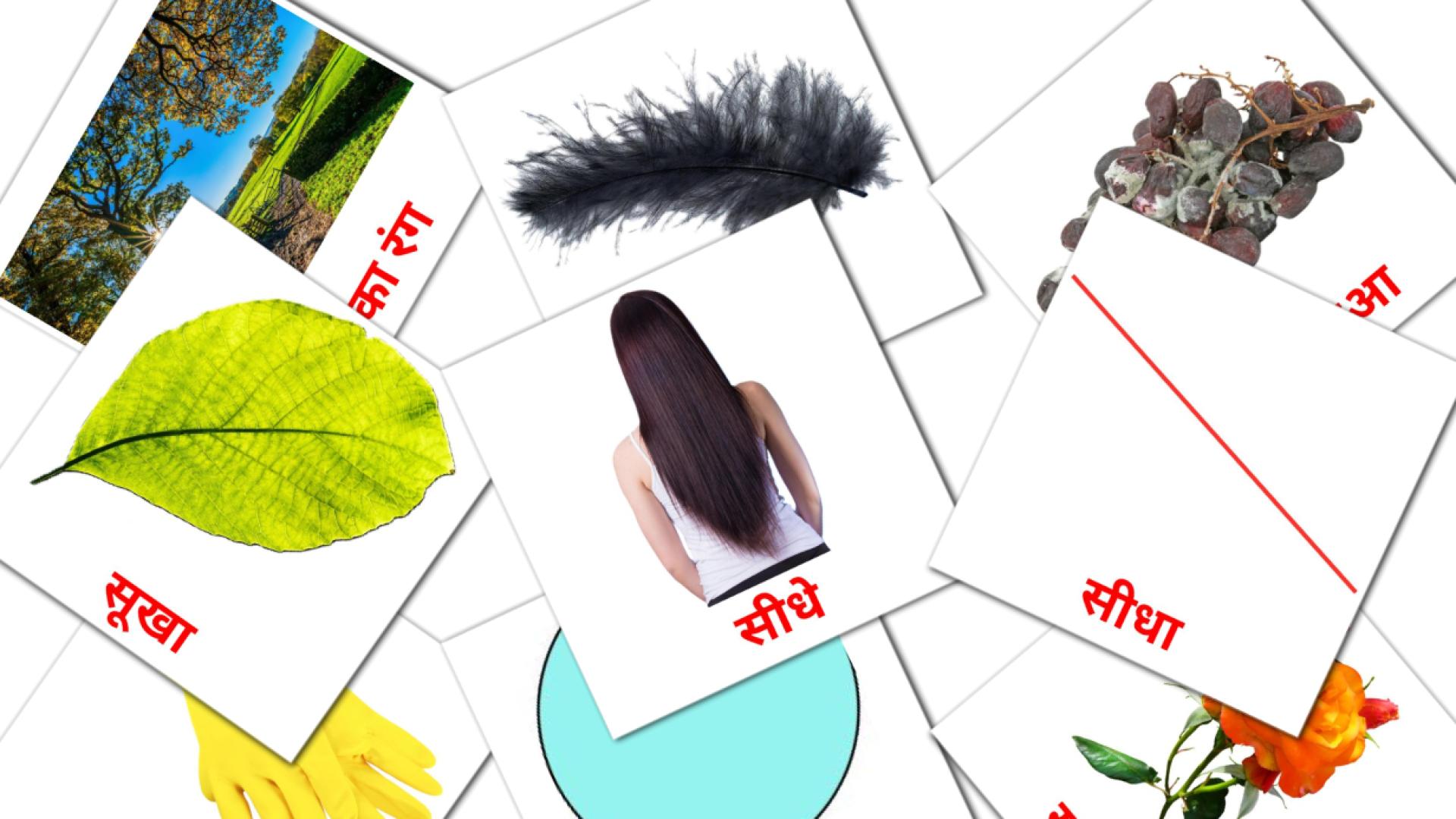 विशेषण Vocabulário em hindi Flashcards