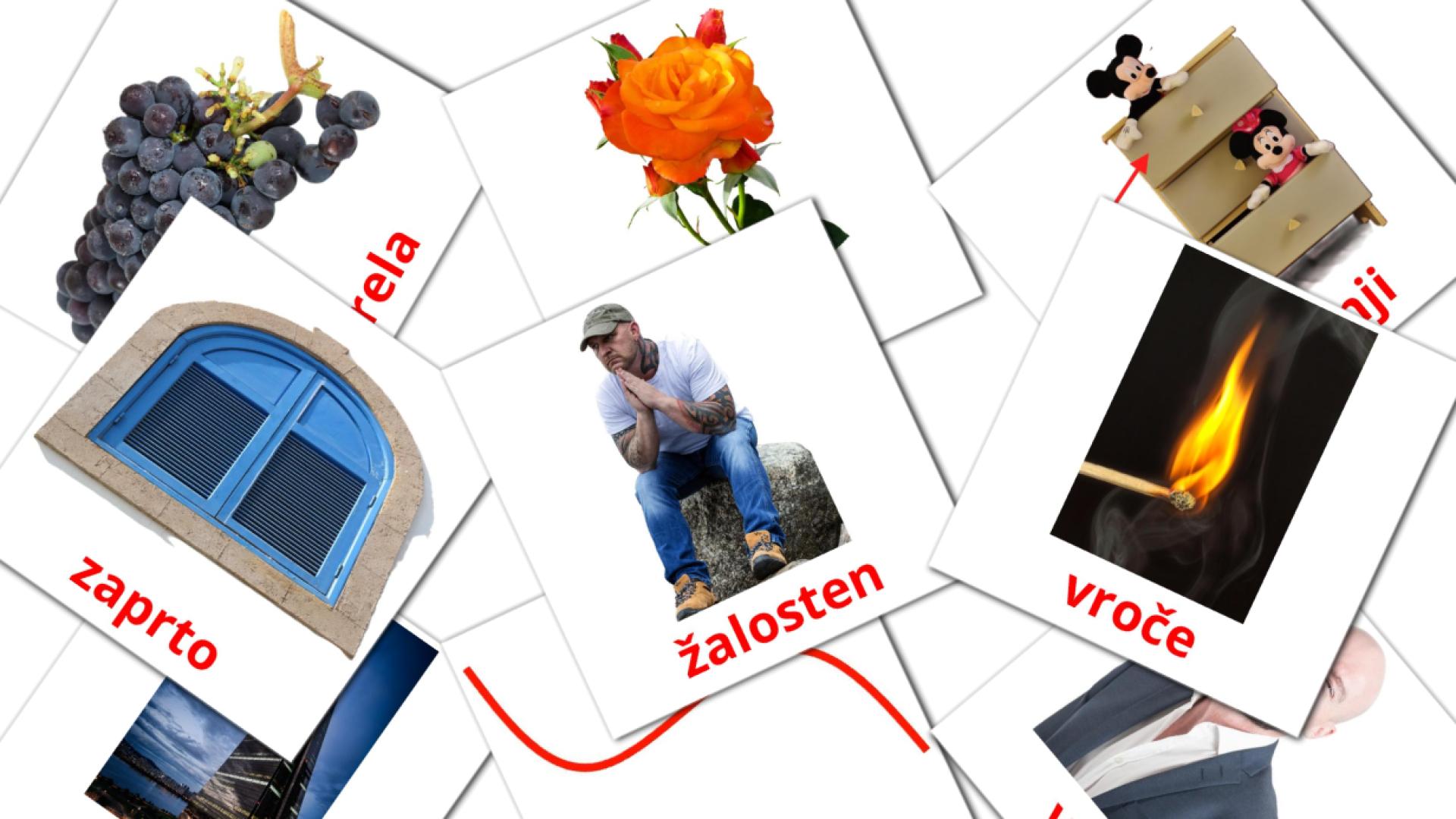 esloveno tarjetas de vocabulario en Pridevniki
