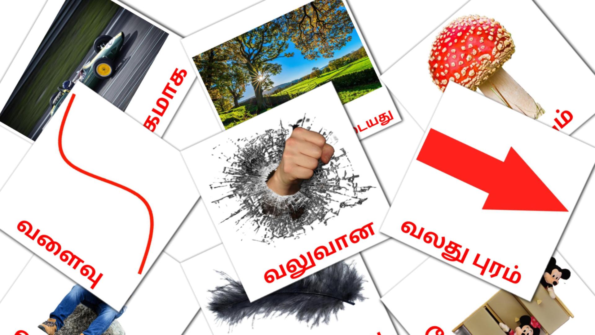 பெயரடை Vocabulário em tamil Flashcards