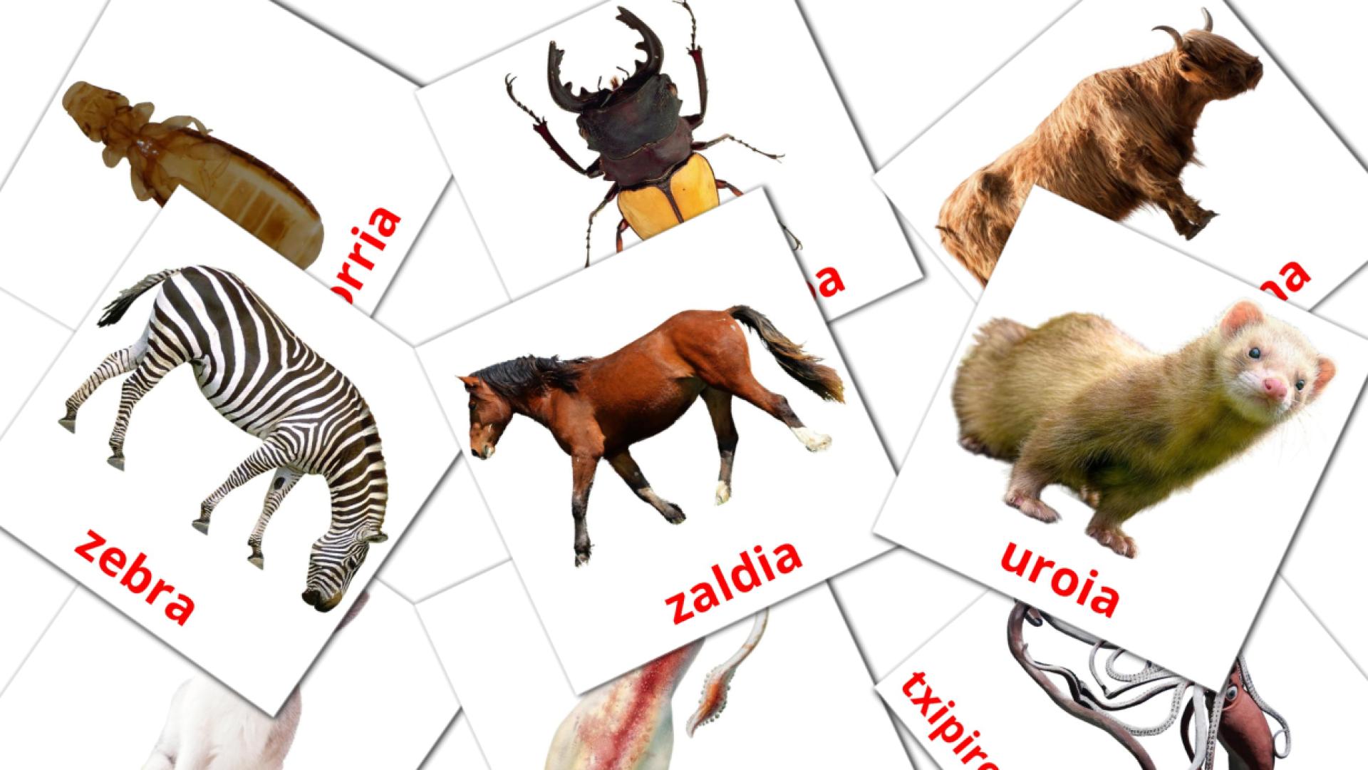 Animaliak baskisch woordenschat flashcards