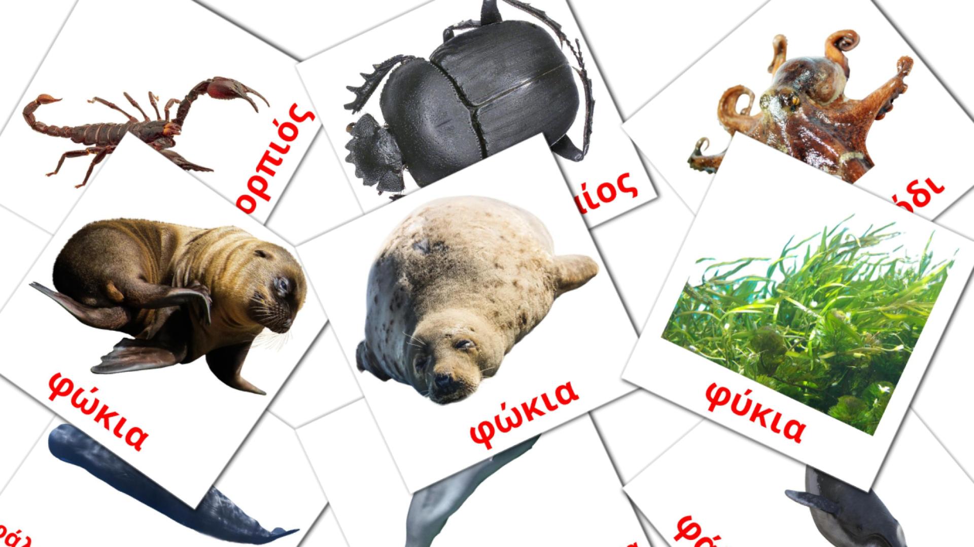 Των ζώων grieks woordenschat flashcards