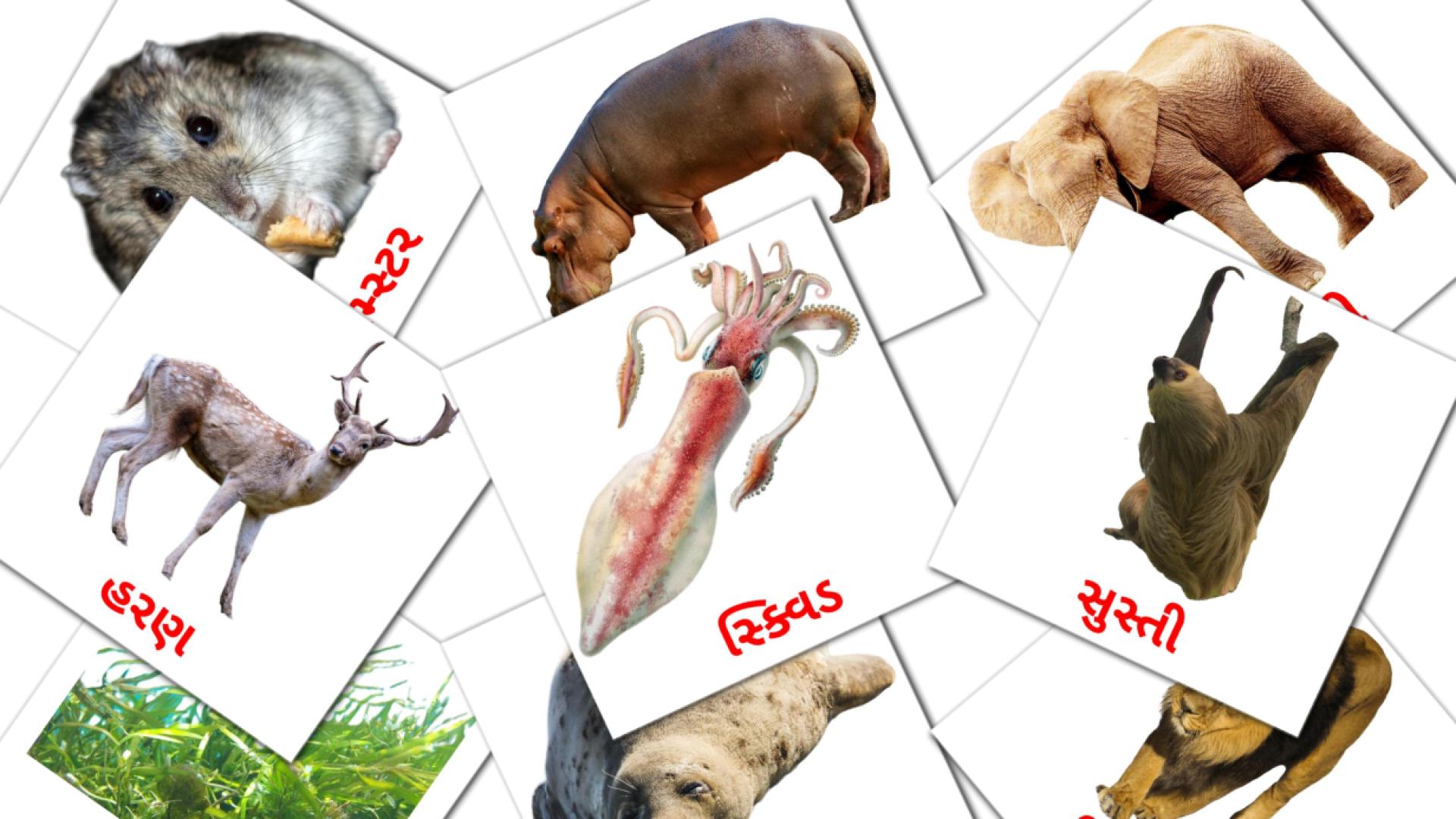 પ્રાણીઓ Vocabulário em gujarati Flashcards