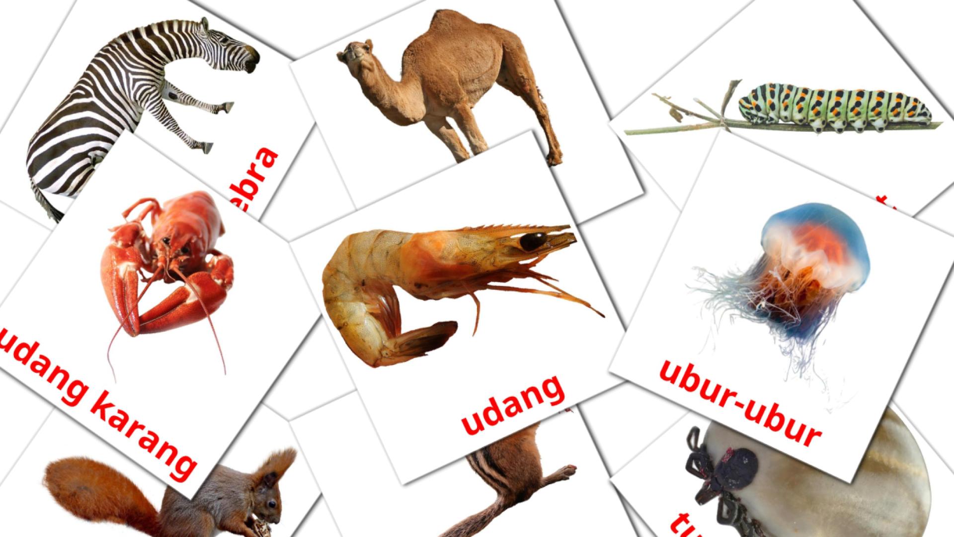 indonesio tarjetas de vocabulario en Binatang
