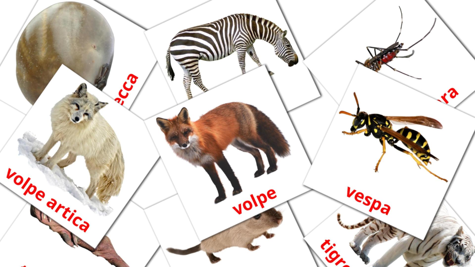134 Bildkarten für Animali