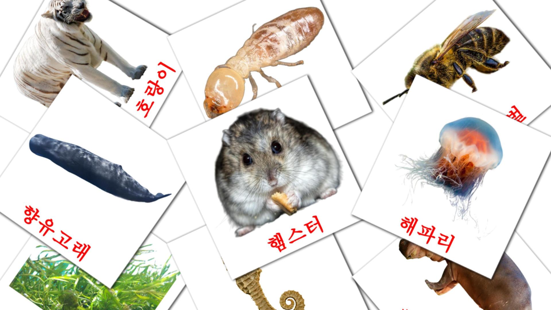 Fiches de vocabulaire coréenes sur 동물
