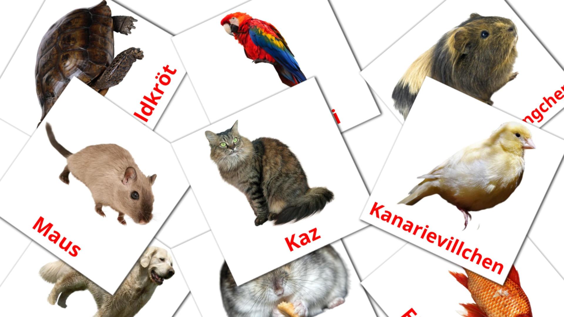 luxemburgués tarjetas de vocabulario en Déieren