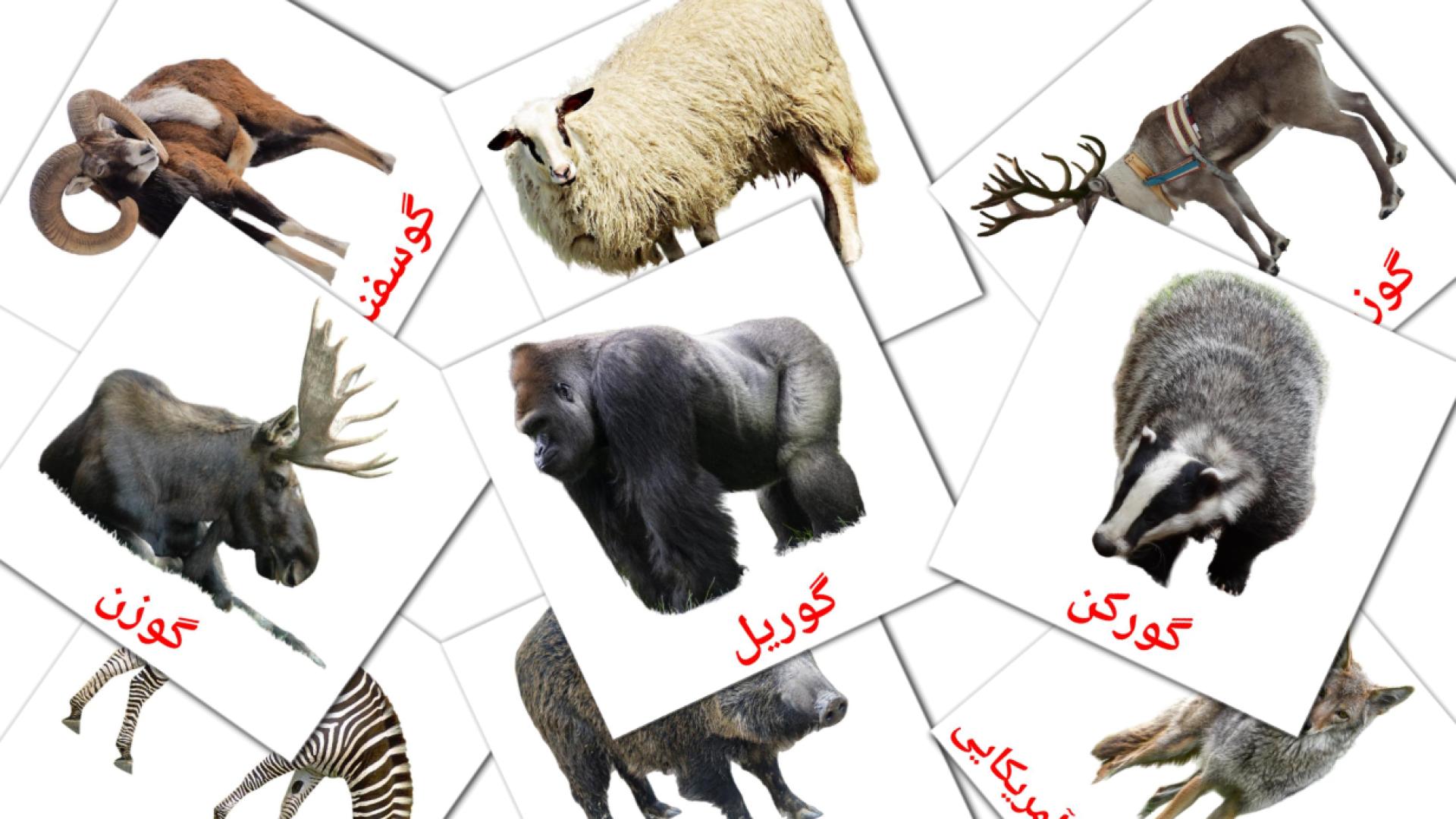 134 tarjetas didacticas de حیوانات