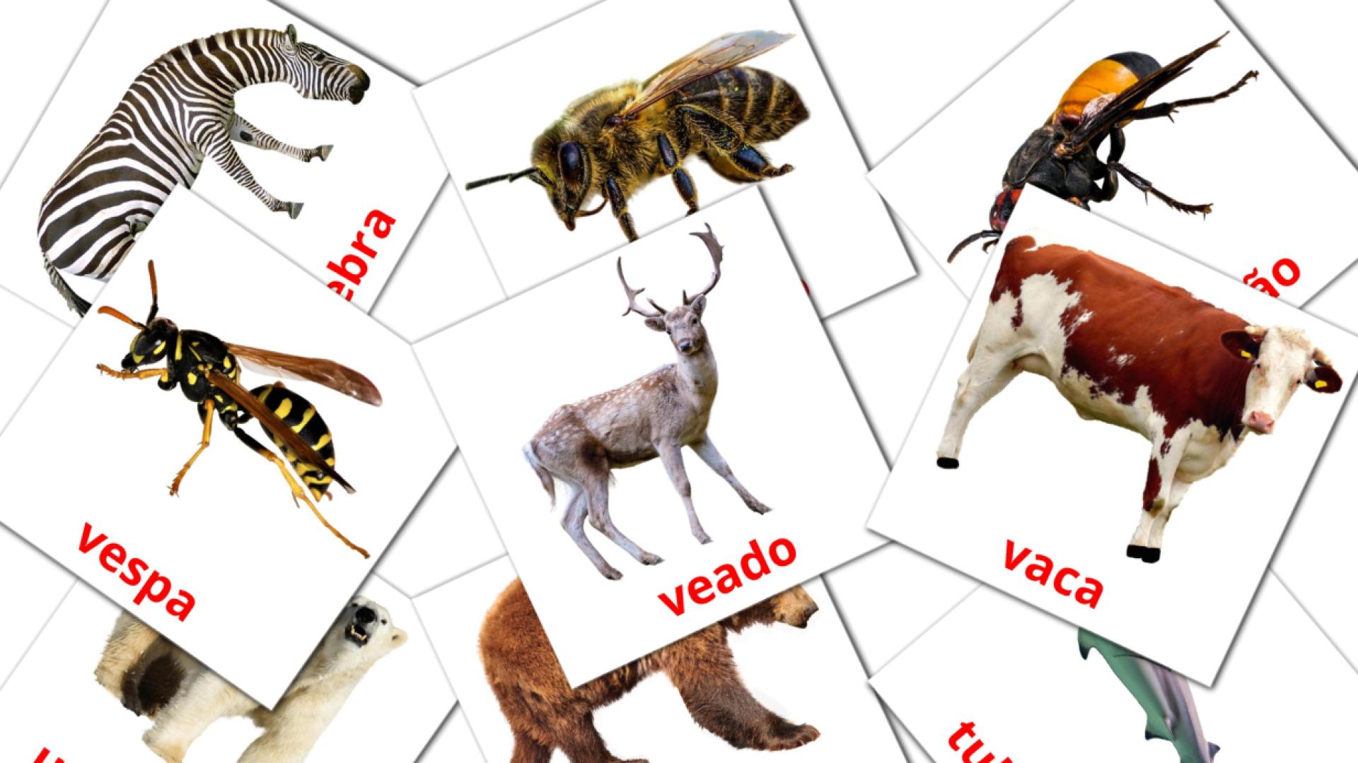 134 tarjetas didacticas de Animais