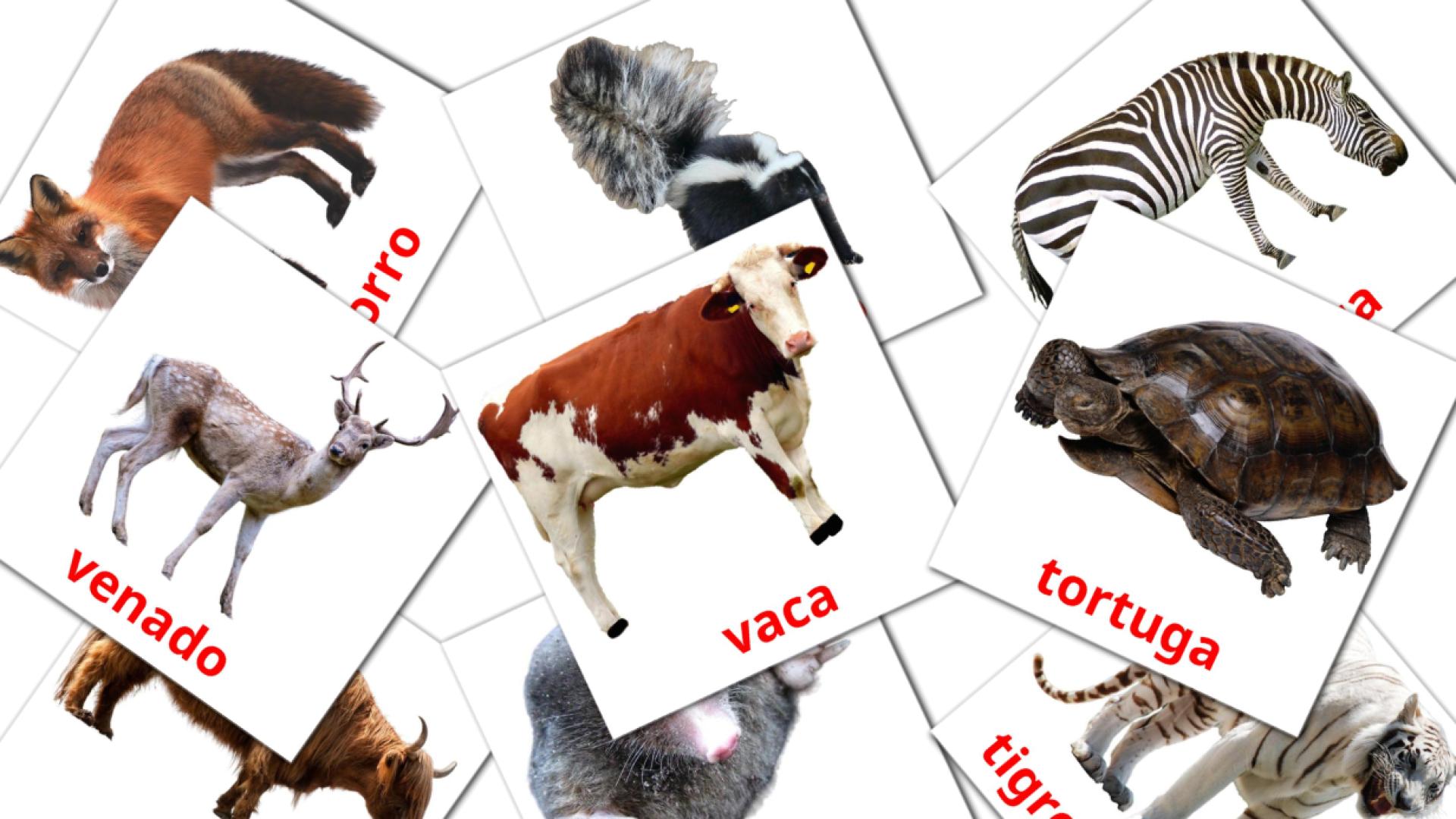 134 flashcards di Animales