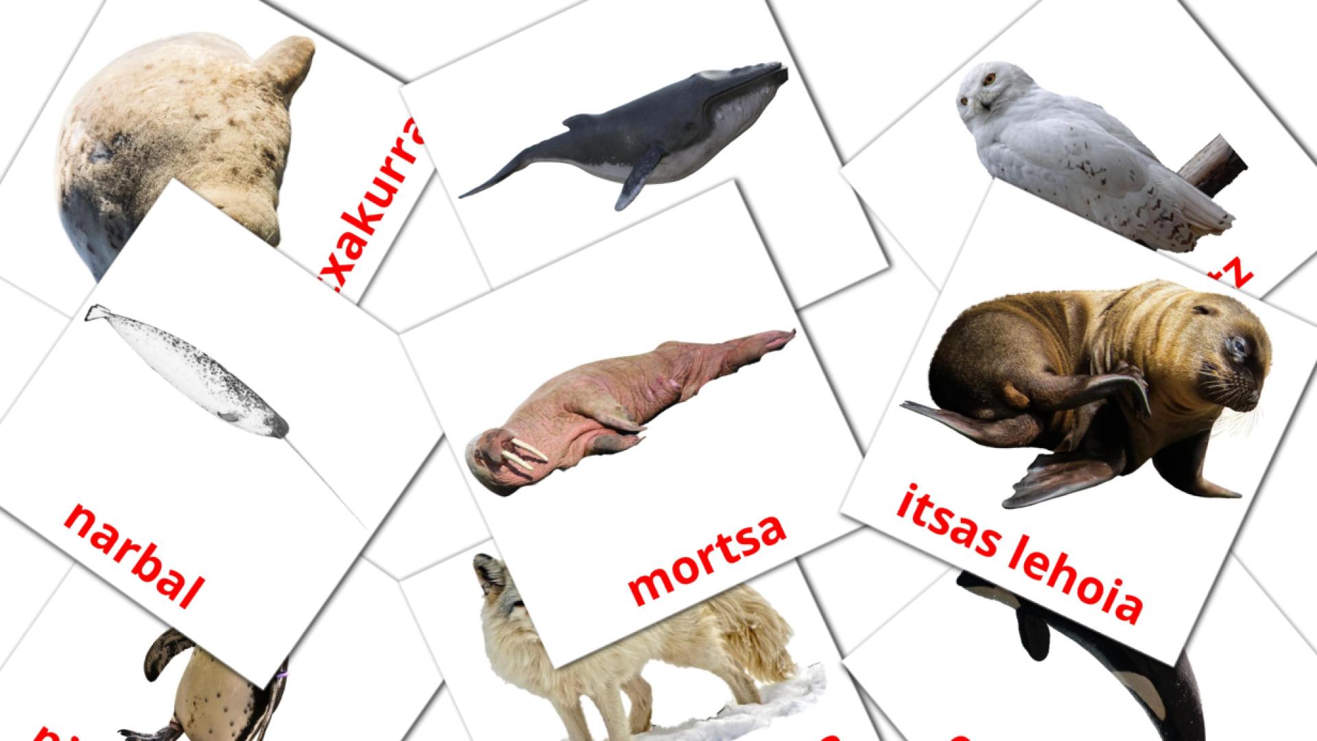 14 tarjetas didacticas de Artikoko animaliak