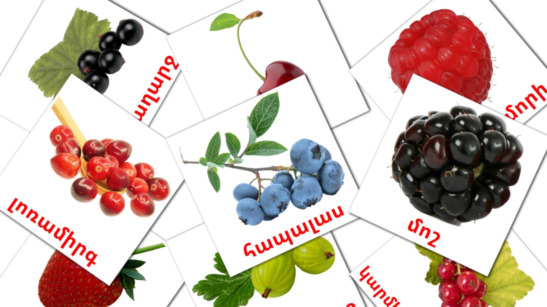 Frutti di bosco - Schede di vocabolario armeno