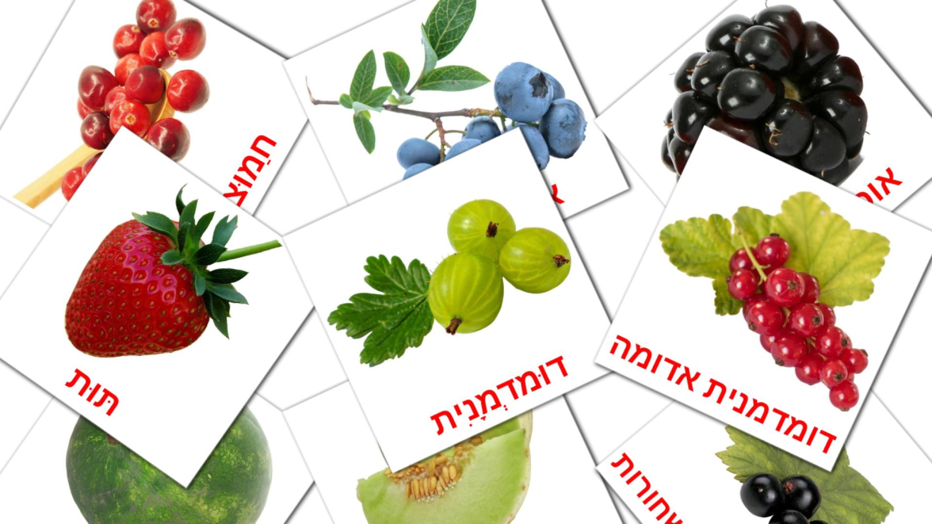 11 Bildkarten für פירות יער