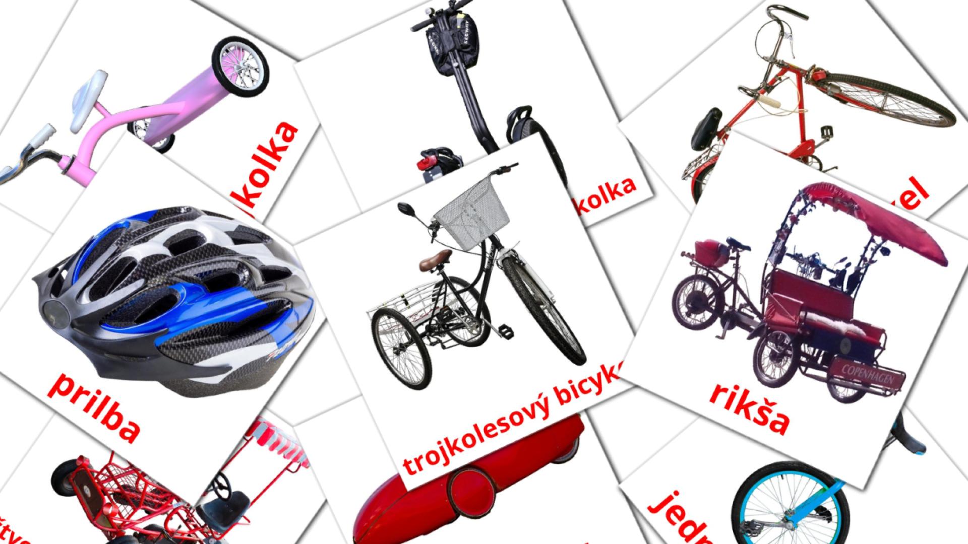16 Bildkarten für bicykle