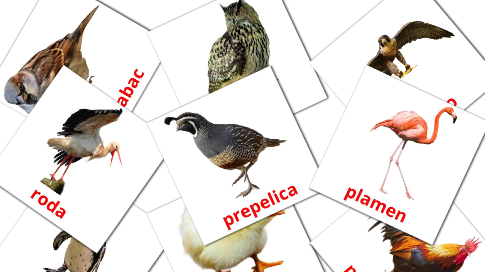 29 Карточки Домана Ptice