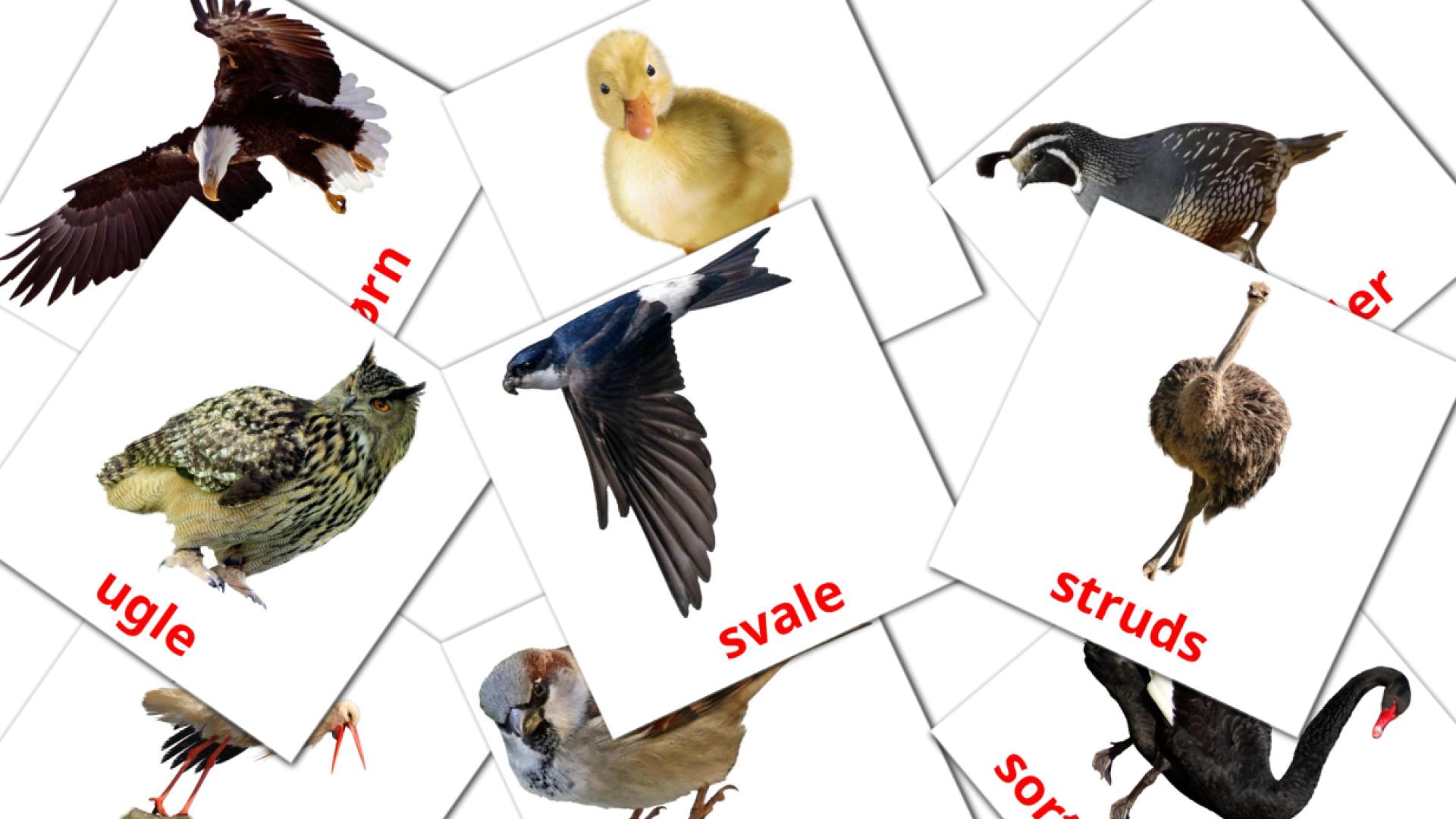 Fugle Vocabulário em dansk Flashcards