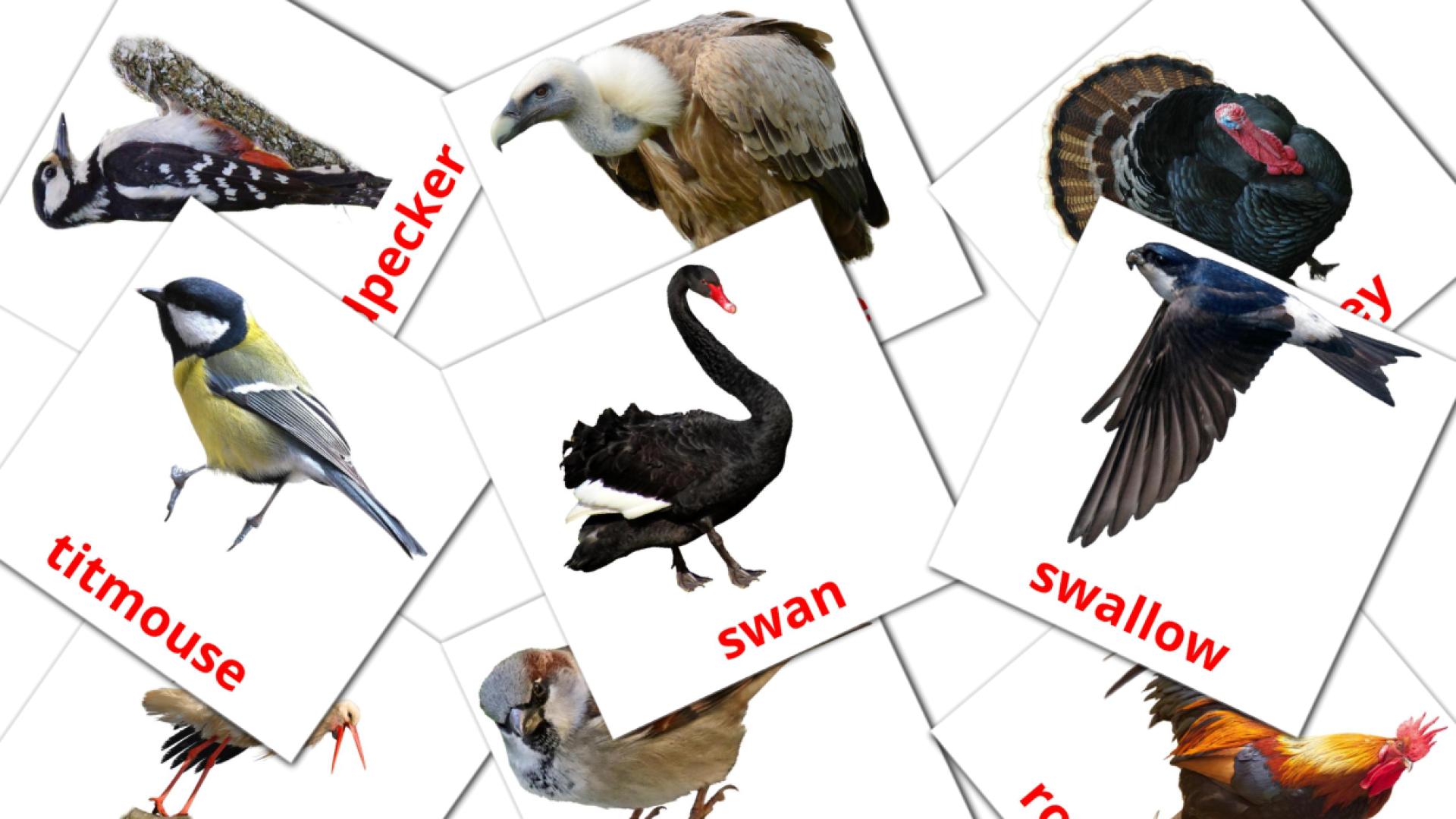 Карточки Домана Birds на английском языке