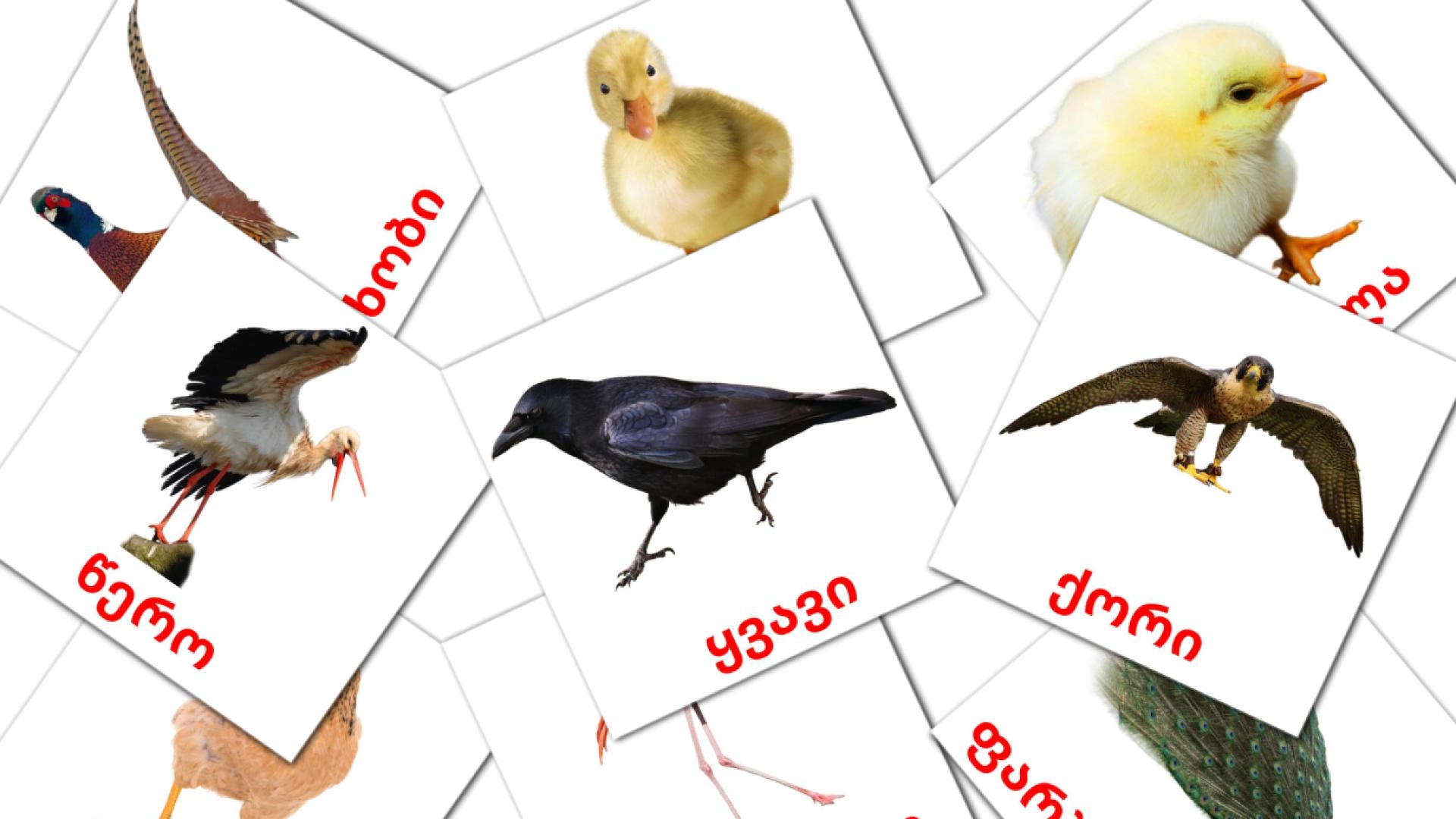 ფრინველები georgisch woordenschat flashcards