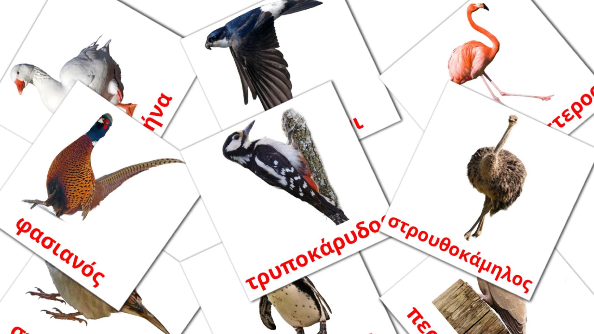 Πουλιά grieks woordenschat flashcards