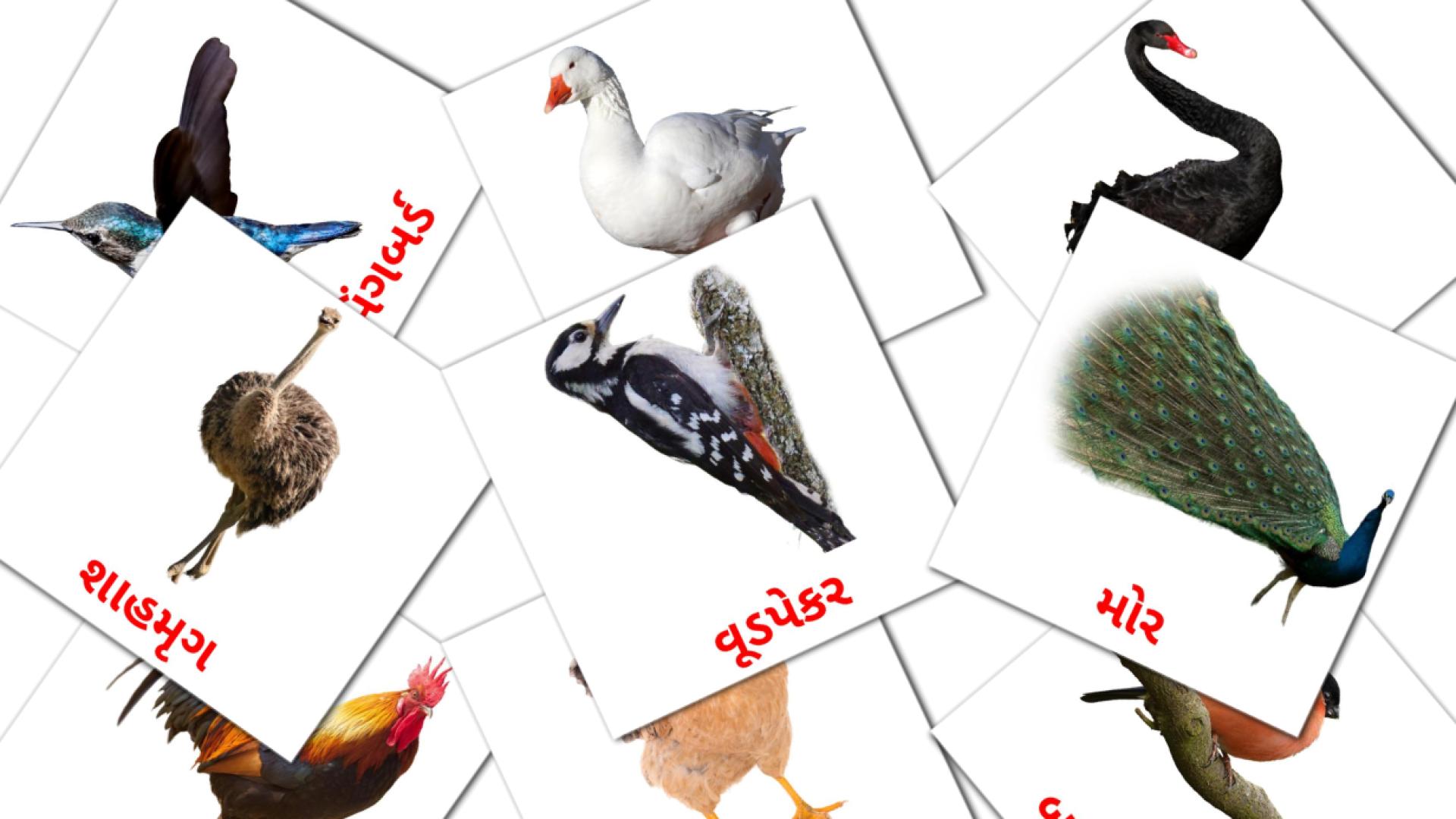 પક્ષીઓ Vocabulário em gujarati Flashcards