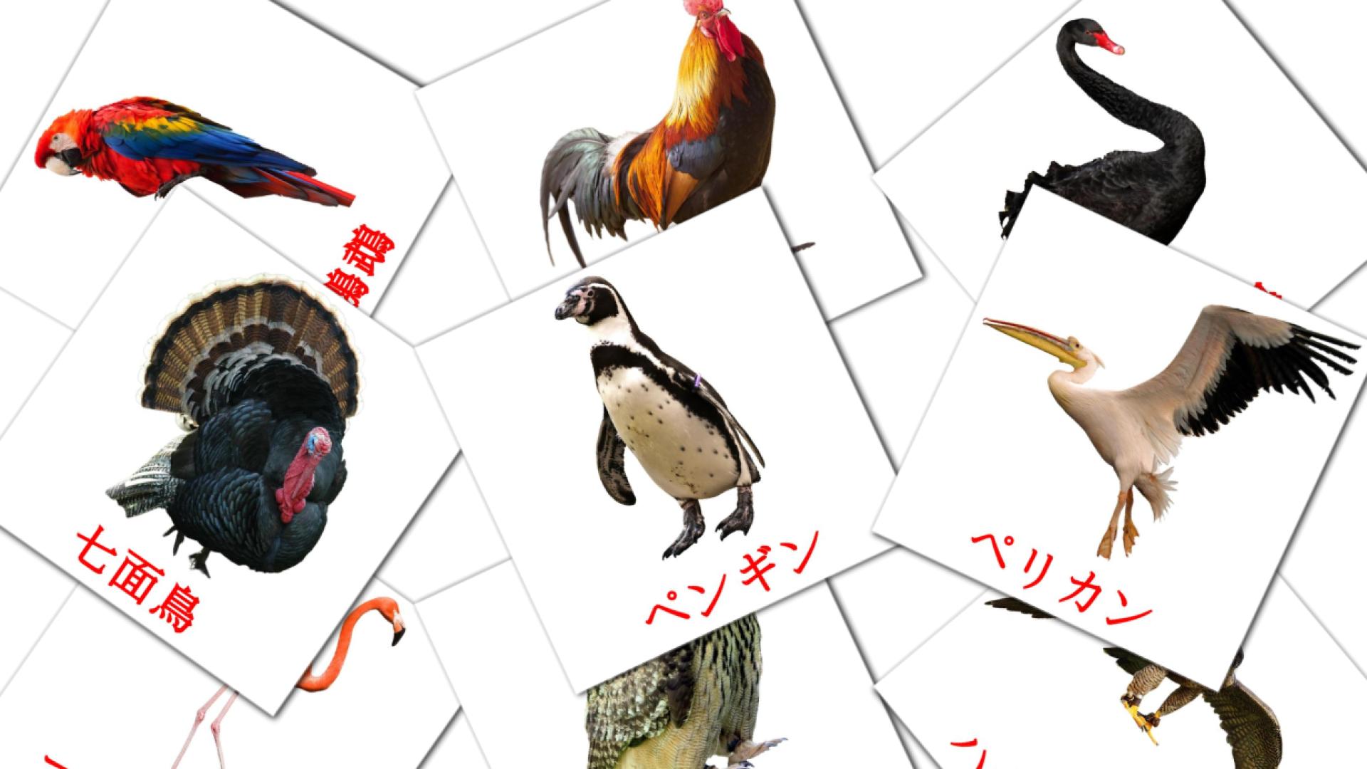 鳥 Vocabulário em japonesas Flashcards