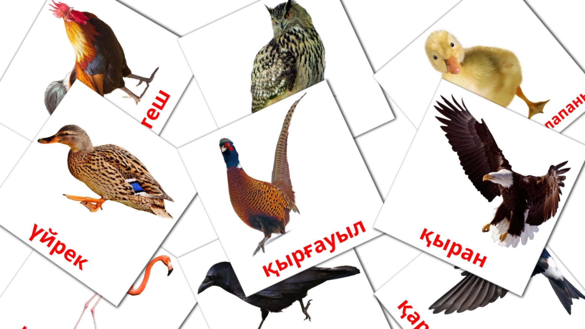 Кус kazakh woordenschat flashcards