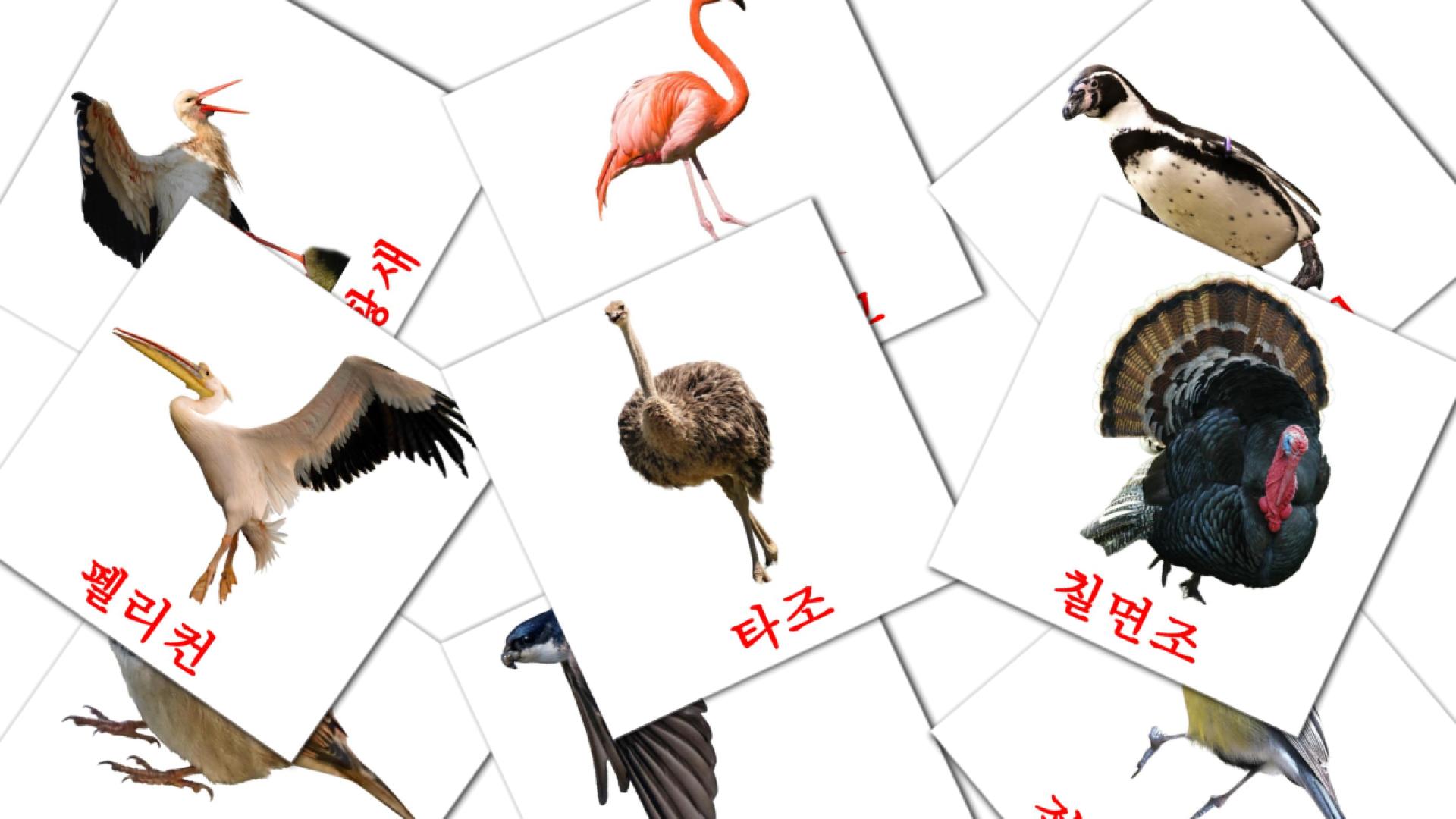 coreano tarjetas de vocabulario en 조류