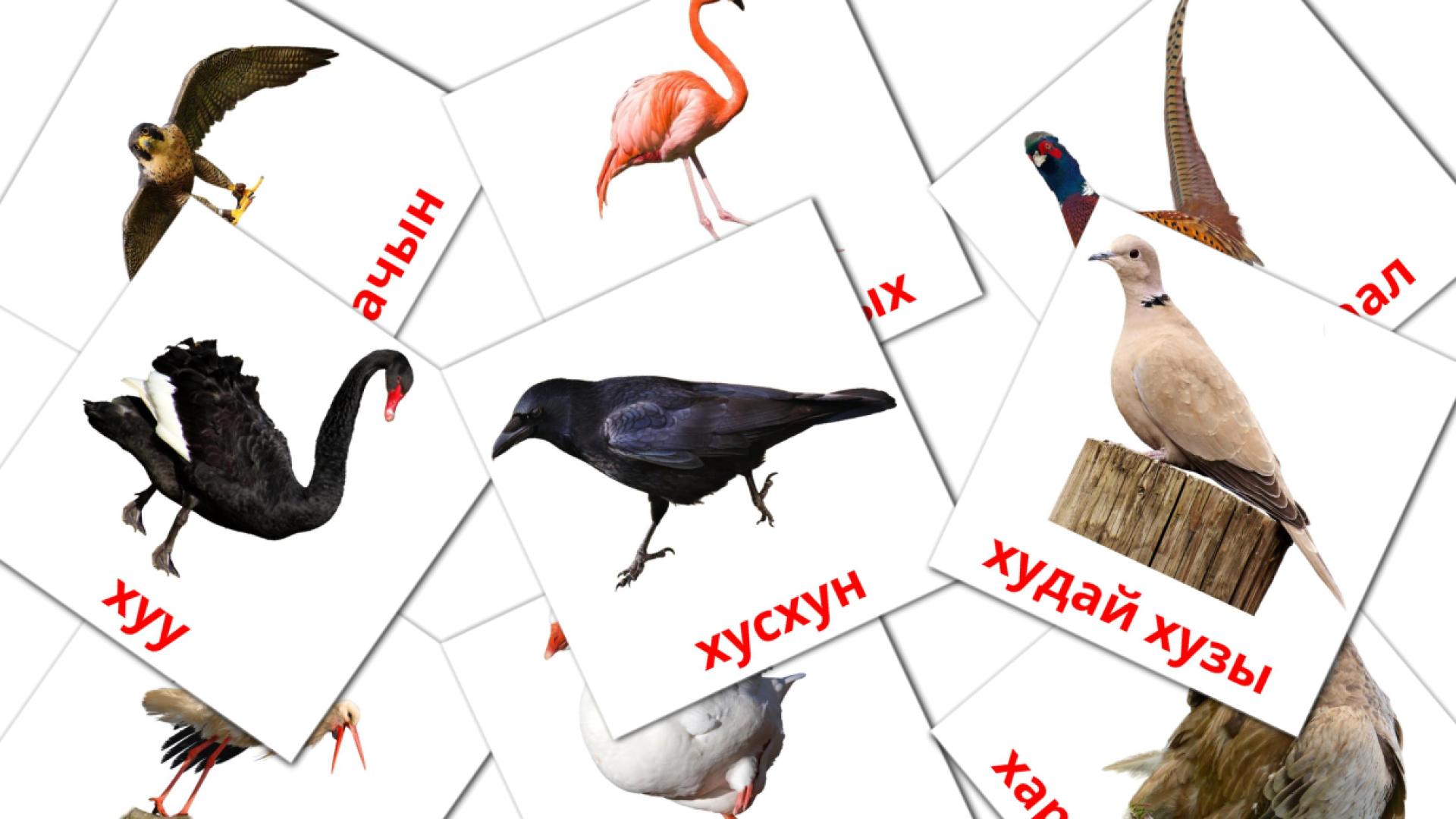 kirguís tarjetas de vocabulario en Хустар