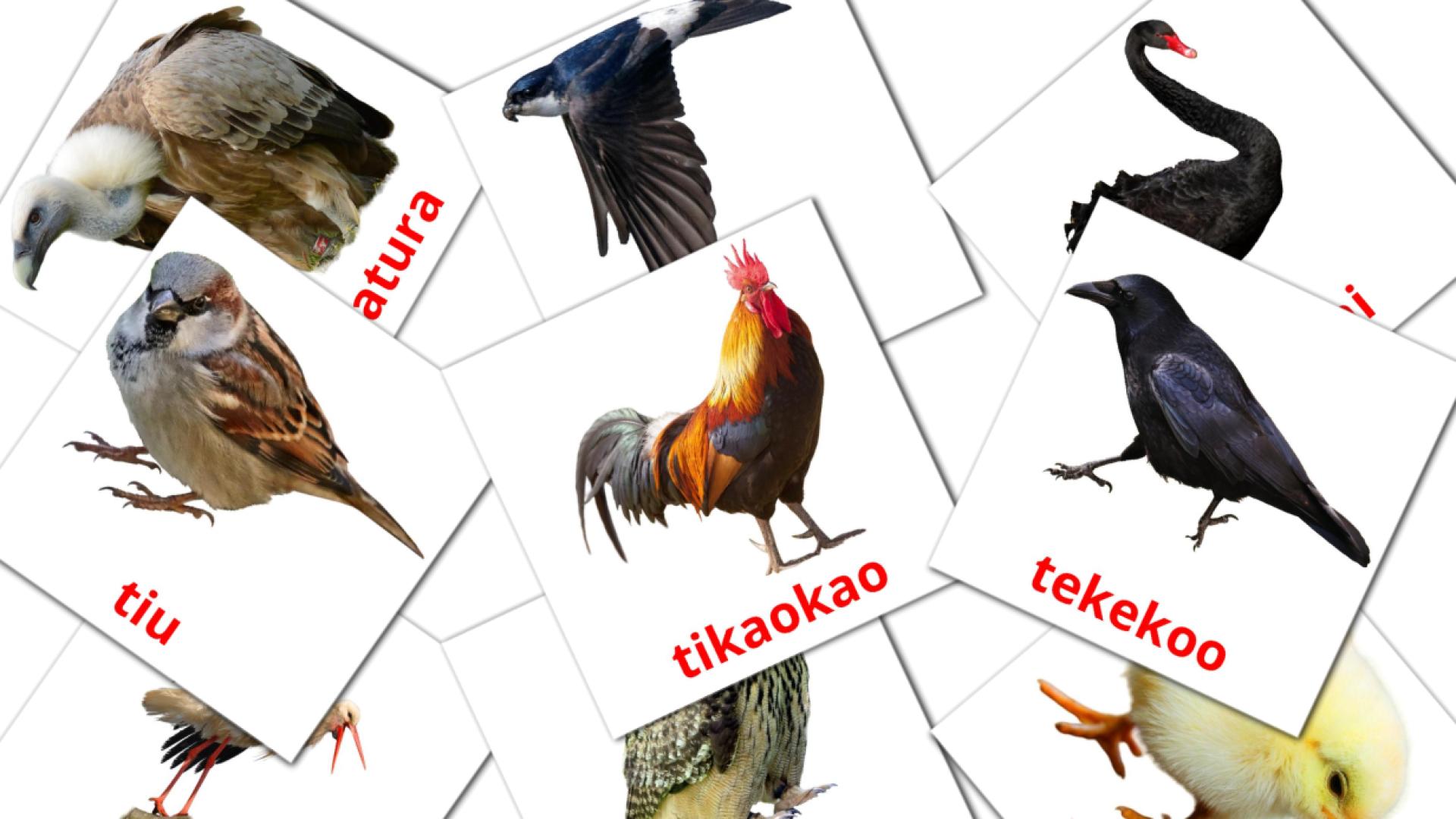 Manu Vocabulário em maori Flashcards