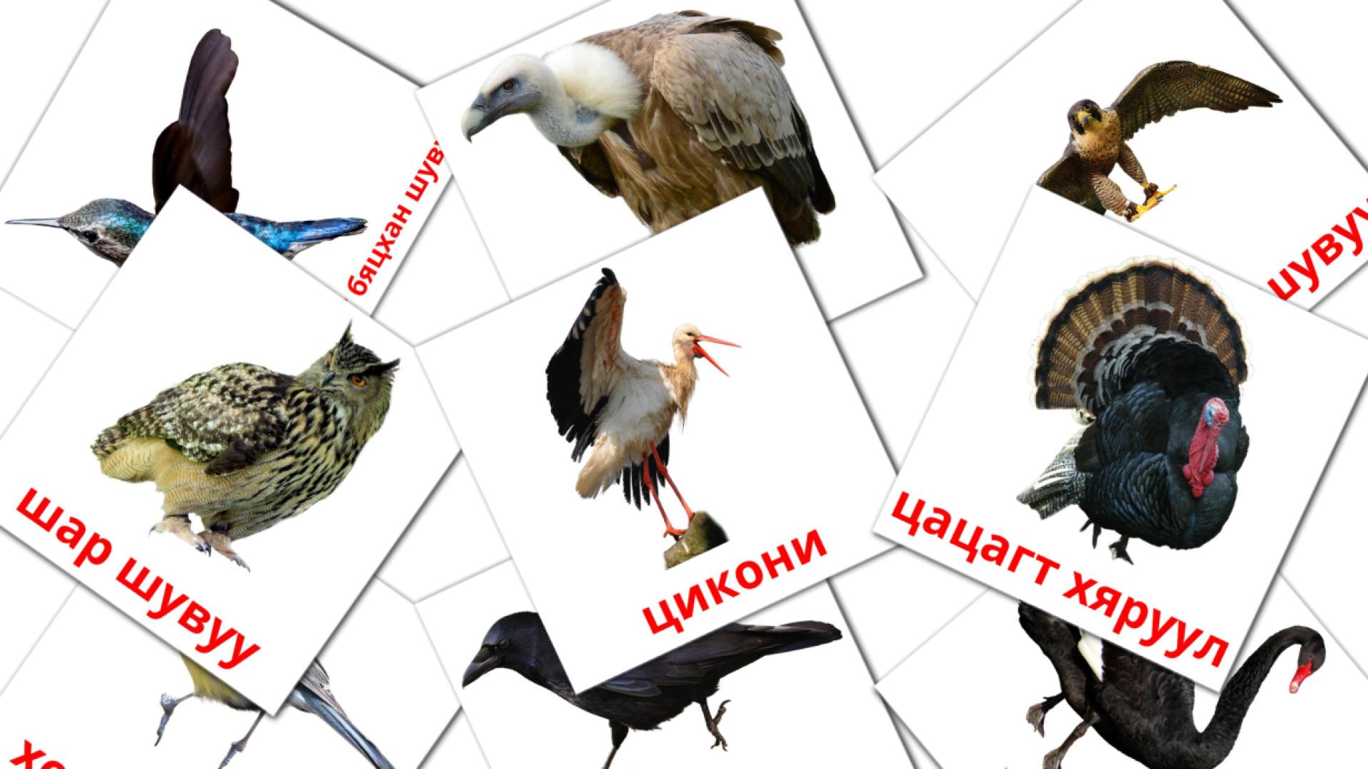 Шувууд Vocabulário em mongol Flashcards