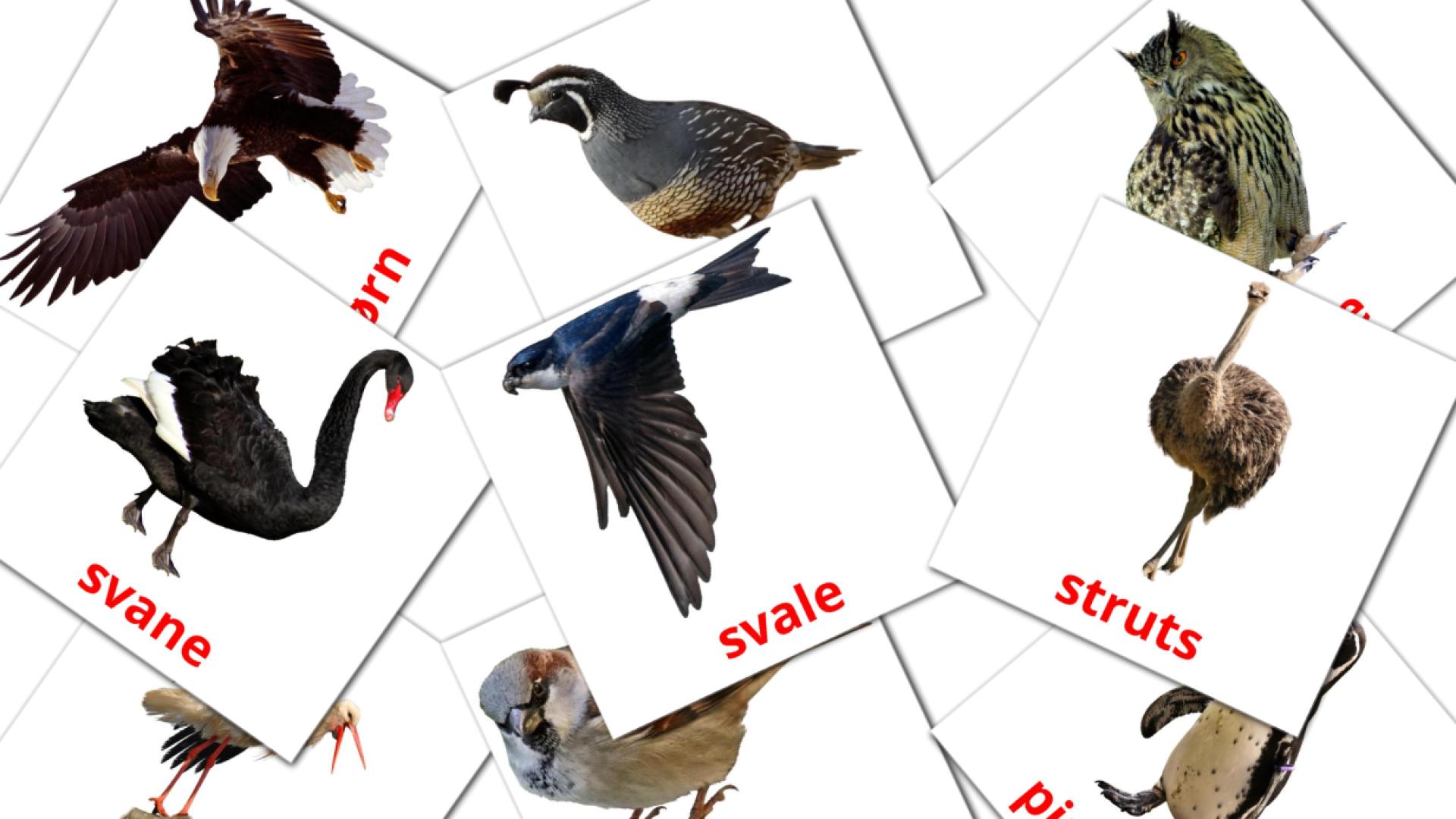 29 Bildkarten für Fugler
