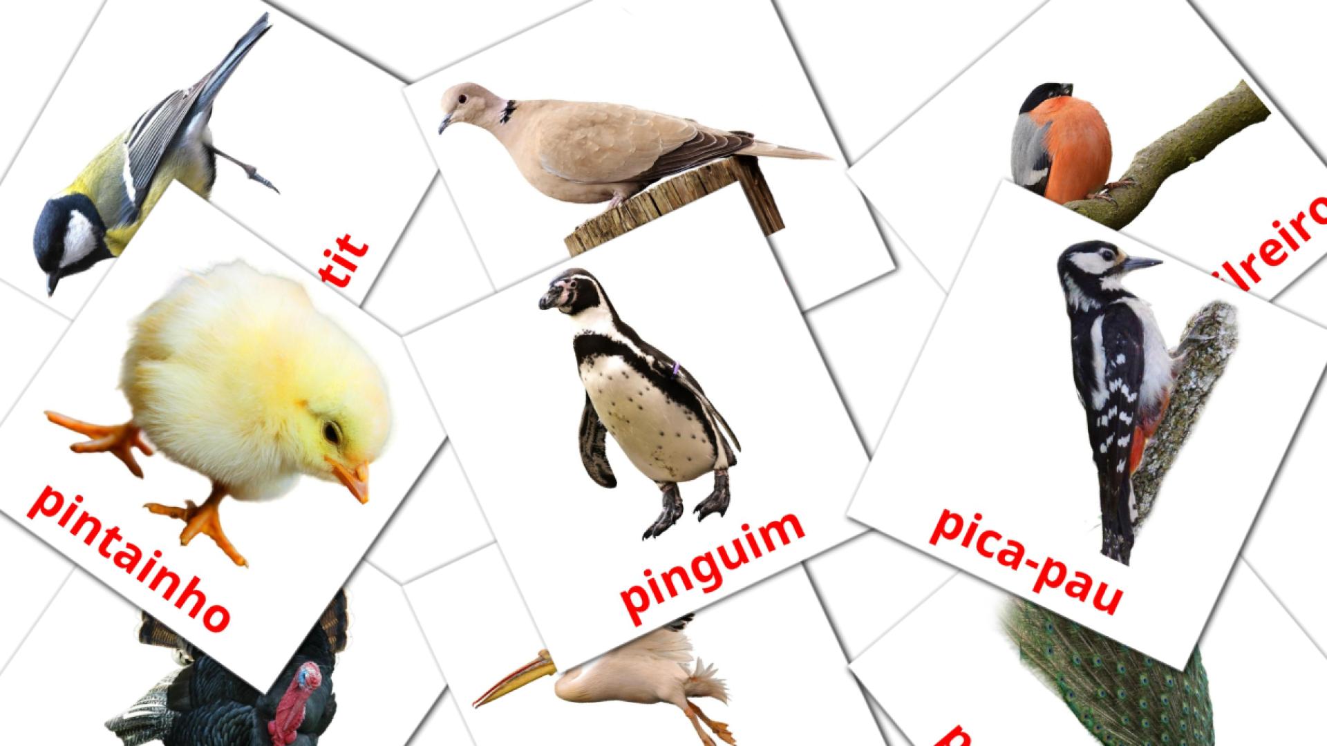 Fiches de vocabulaire portugaises sur Pássaros