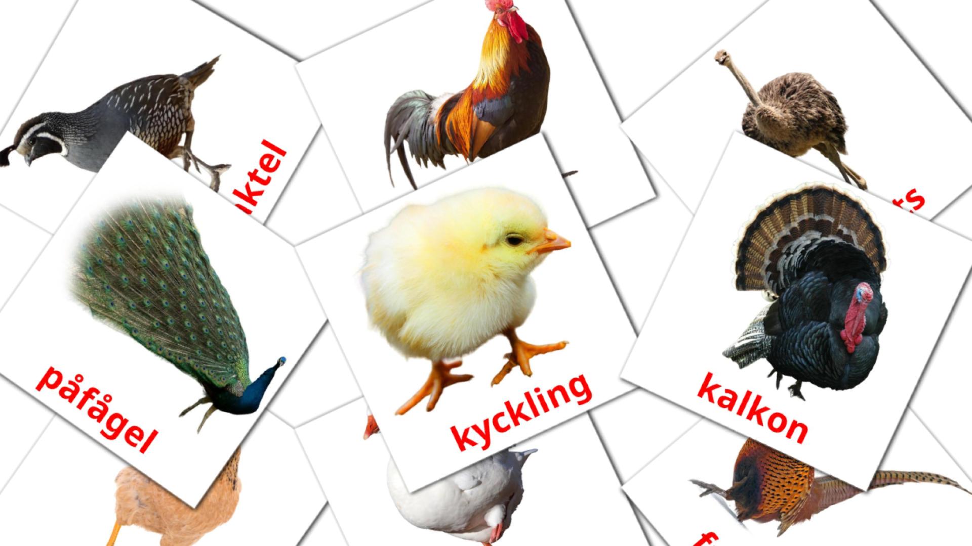 Fåglar Vocabulário em sueco Flashcards