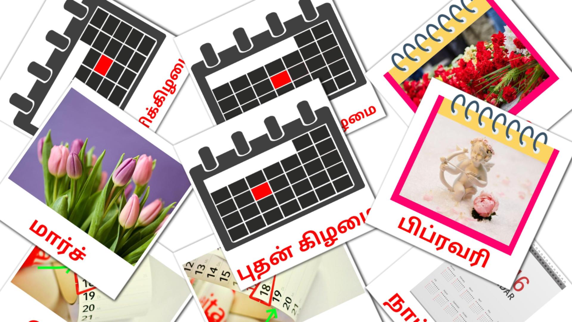 நாட்காட்டி Vocabulário em tamil Flashcards