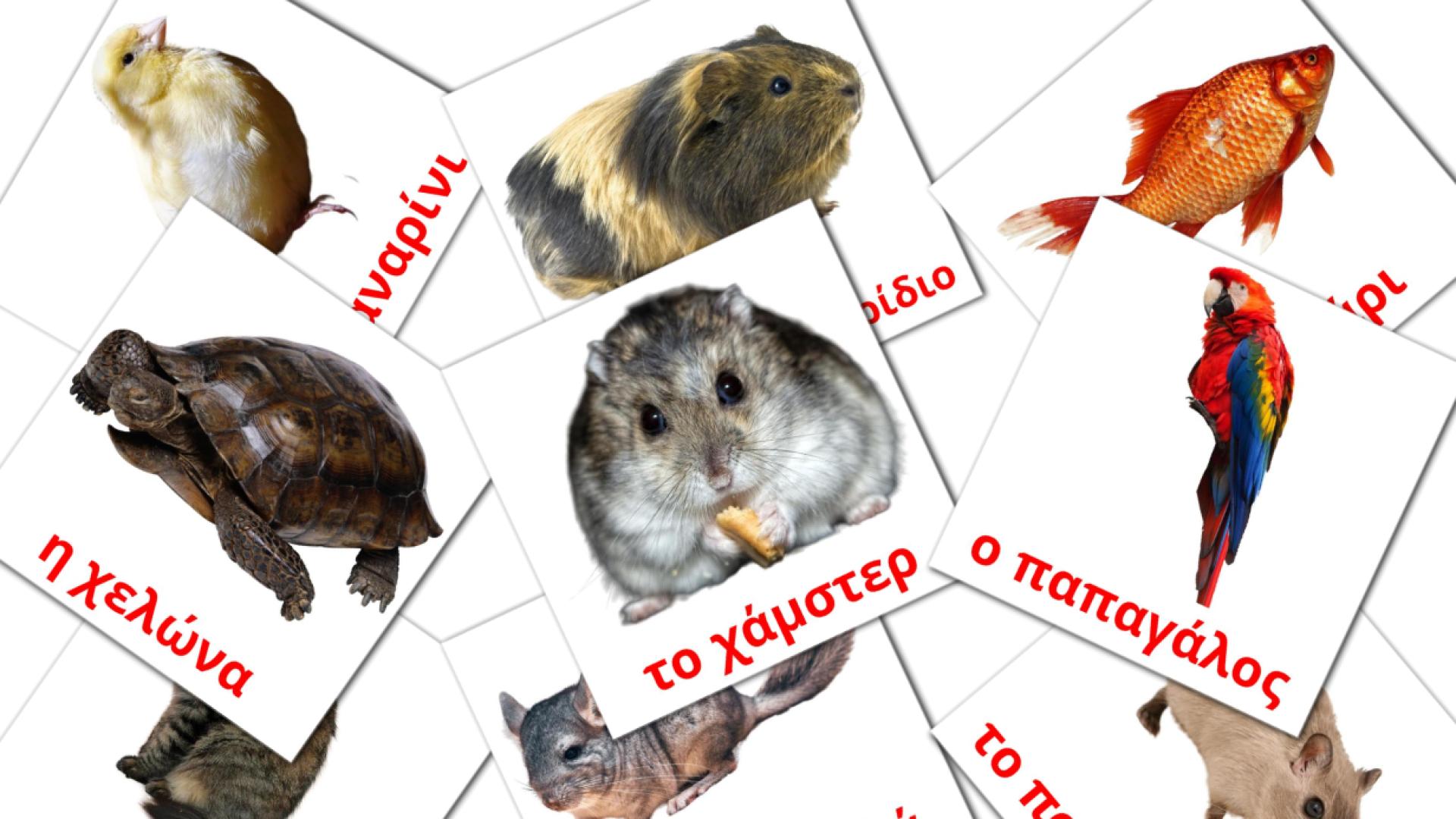 10 Bildkarten für Κατοικίδια ζώα