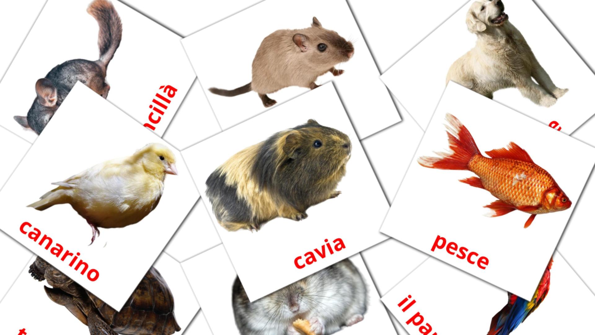 10 Bildkarten für Animali Domestici