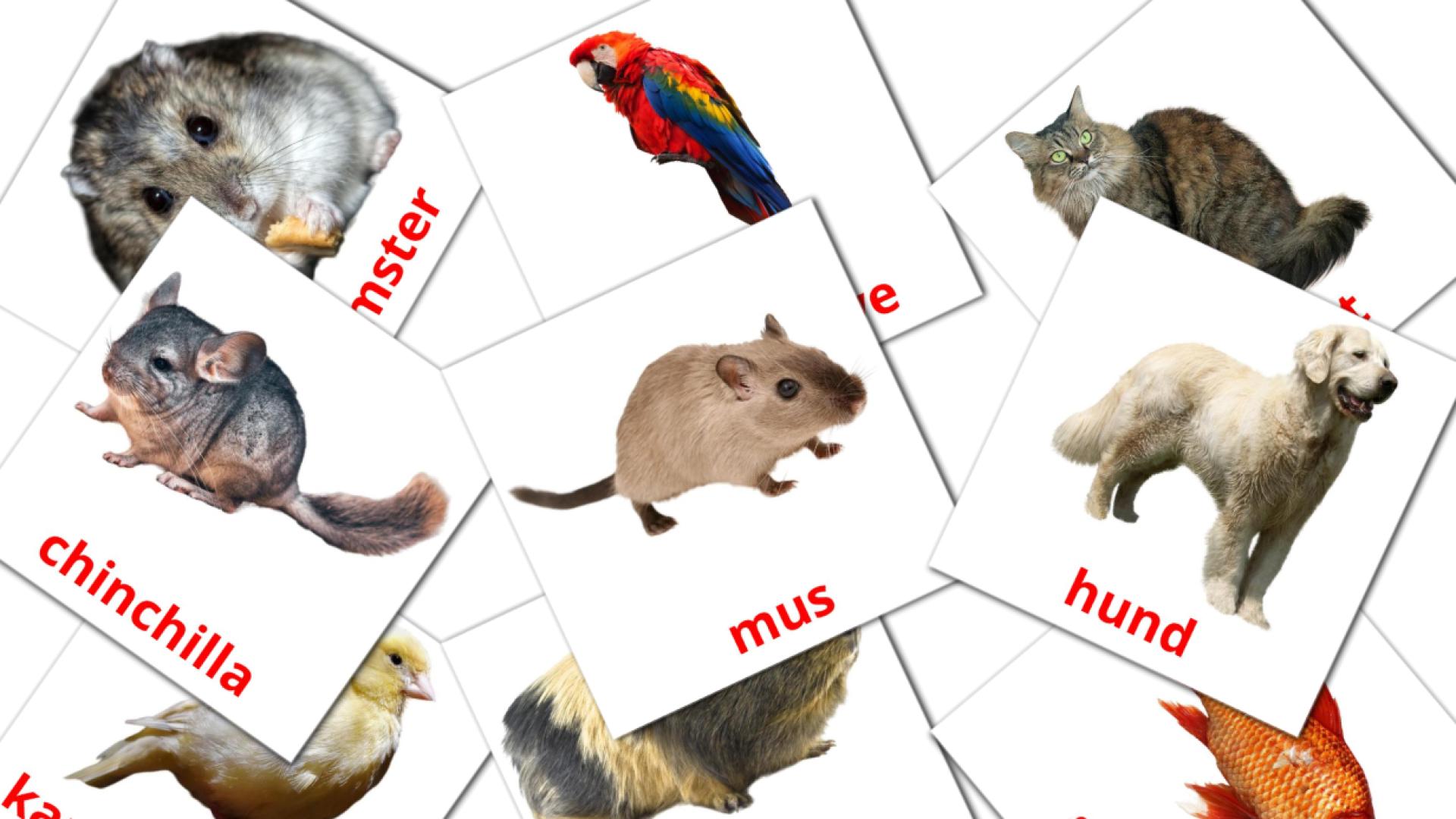 10 Bildkarten für Husdyr
