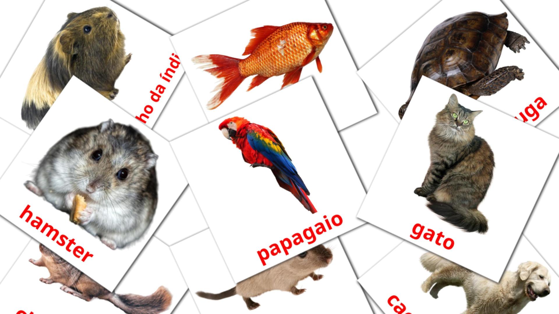 10 Bildkarten für Animais Domésticos