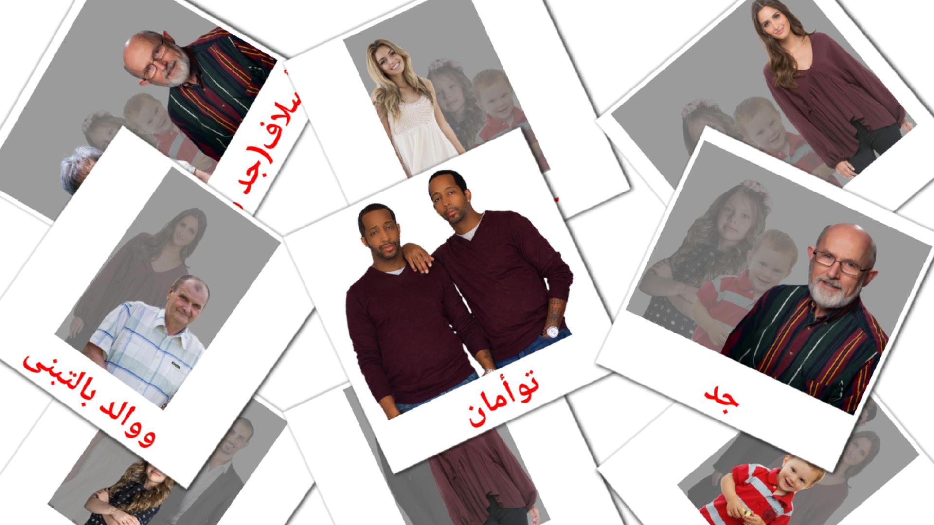Miembros de la Familia - tarjetas de vocabulario en árabe