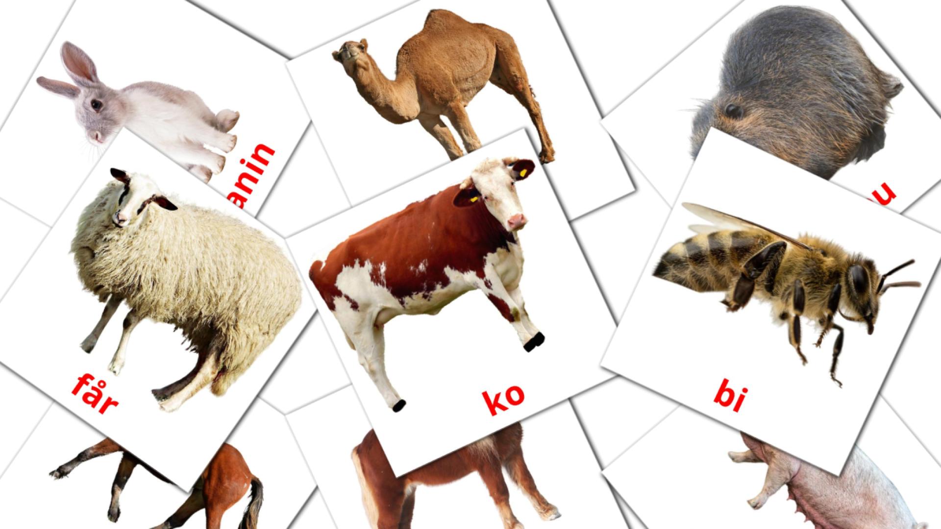15 Bildkarten für Dyr i landsbyen