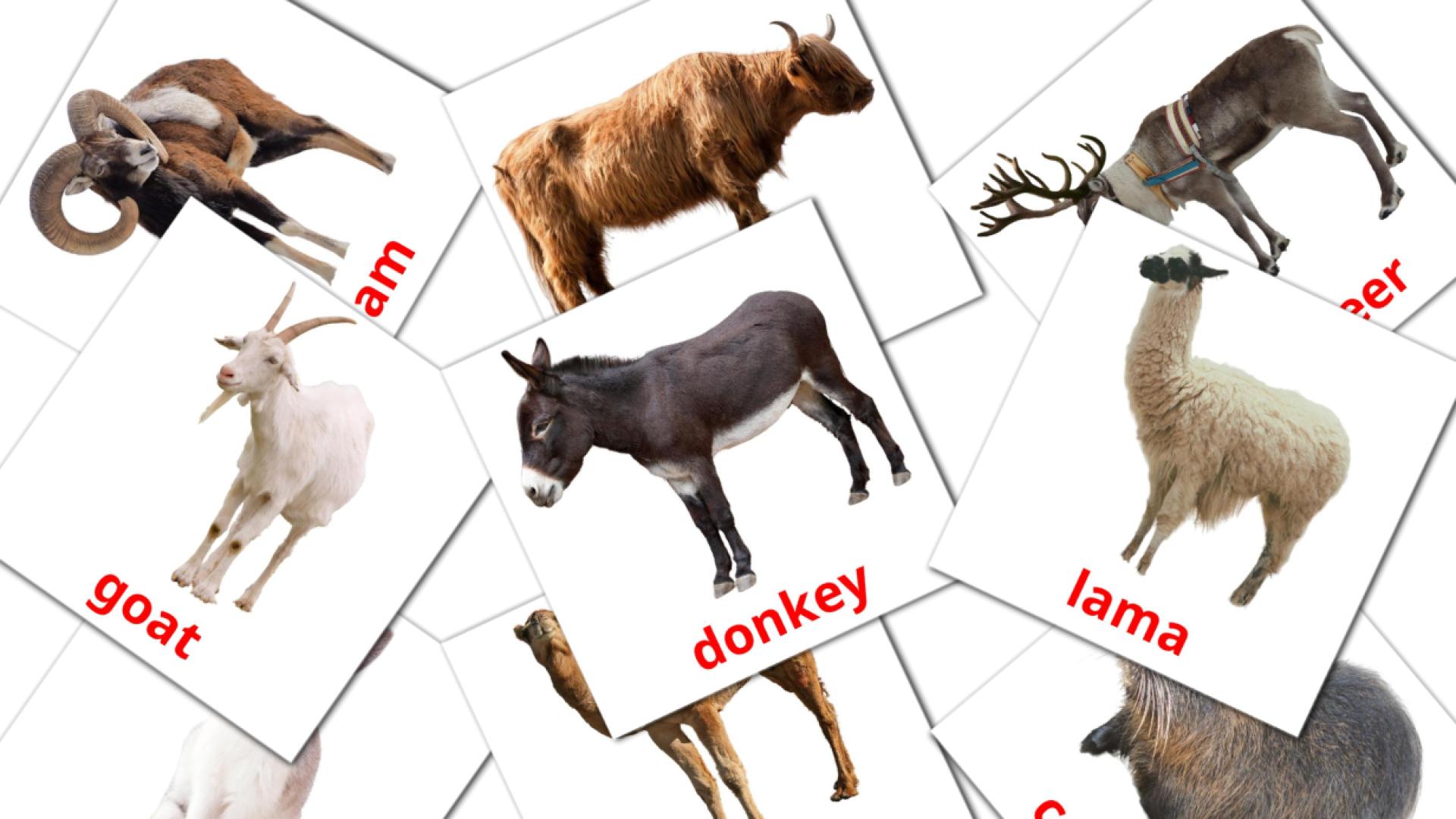 Животные в деревне - английский словарь картинок