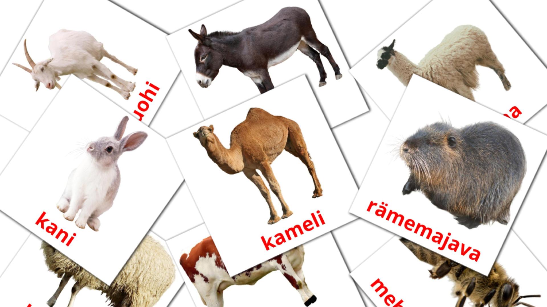 15 Bildkarten für Maatilan eläimiä
