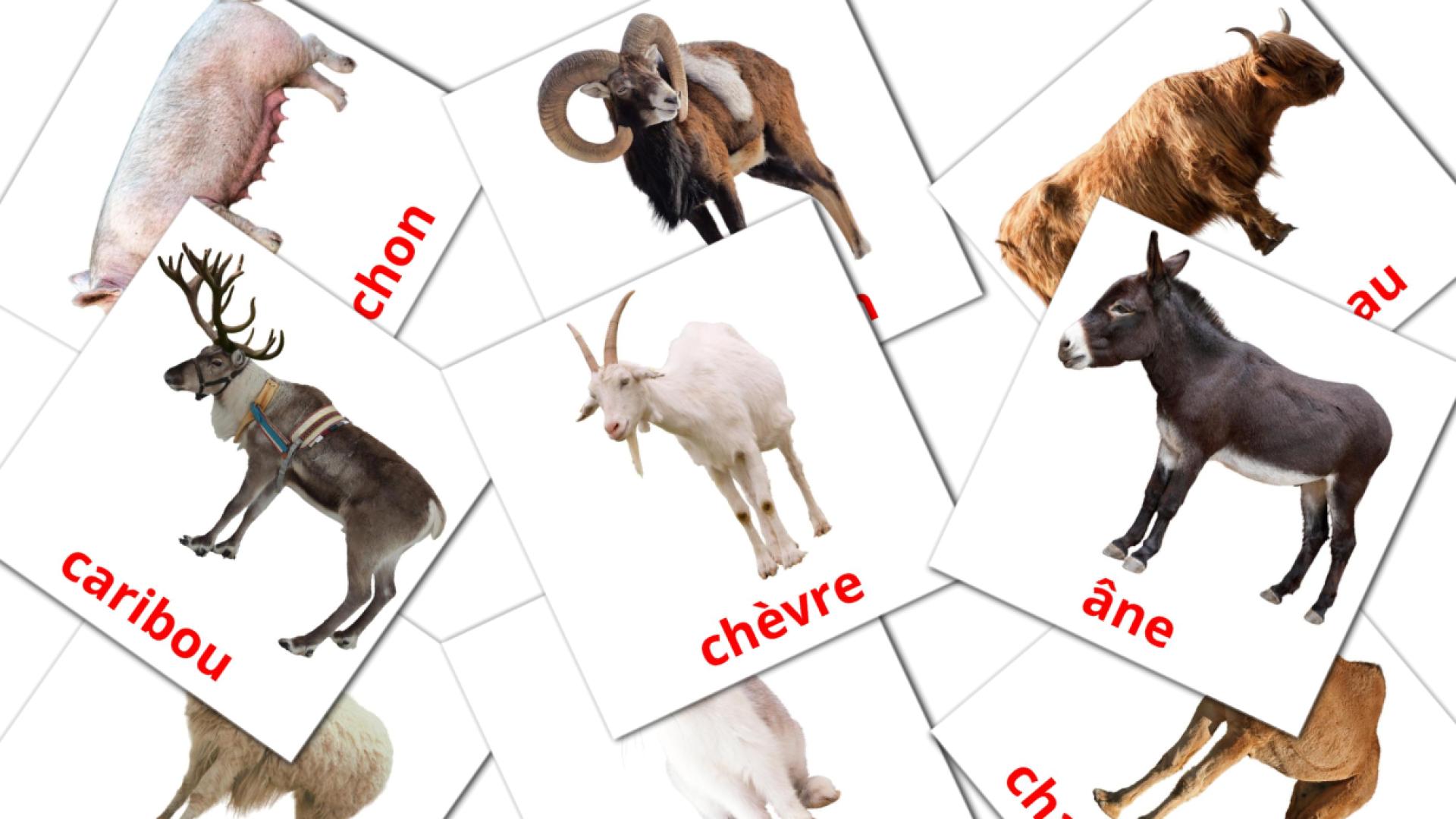 15 tarjetas didacticas de Les Animaux de la Ferme