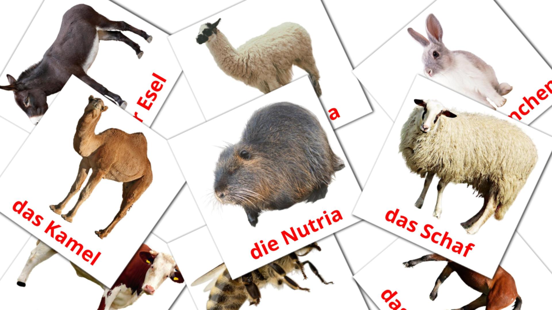 Animales en la Granja - tarjetas de vocabulario en alemán