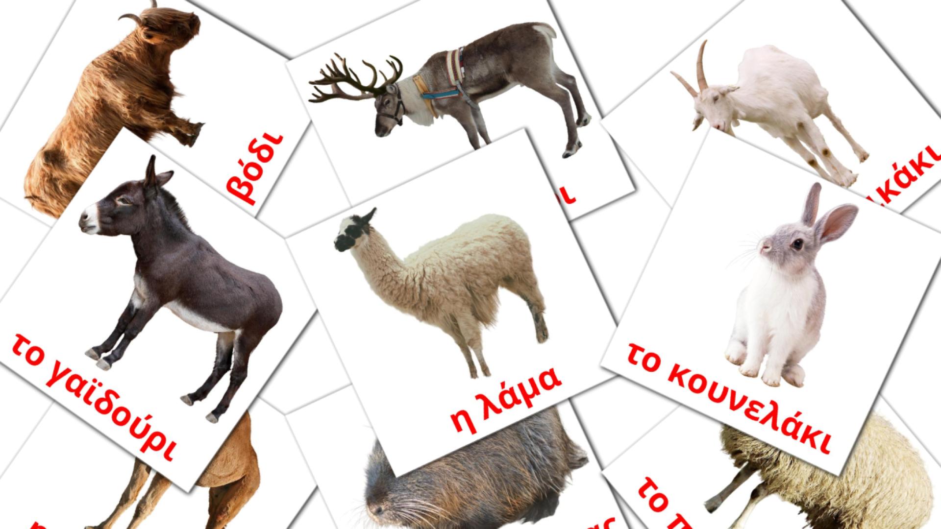 15 Bildkarten für Εκτρεφόμενα ζώα