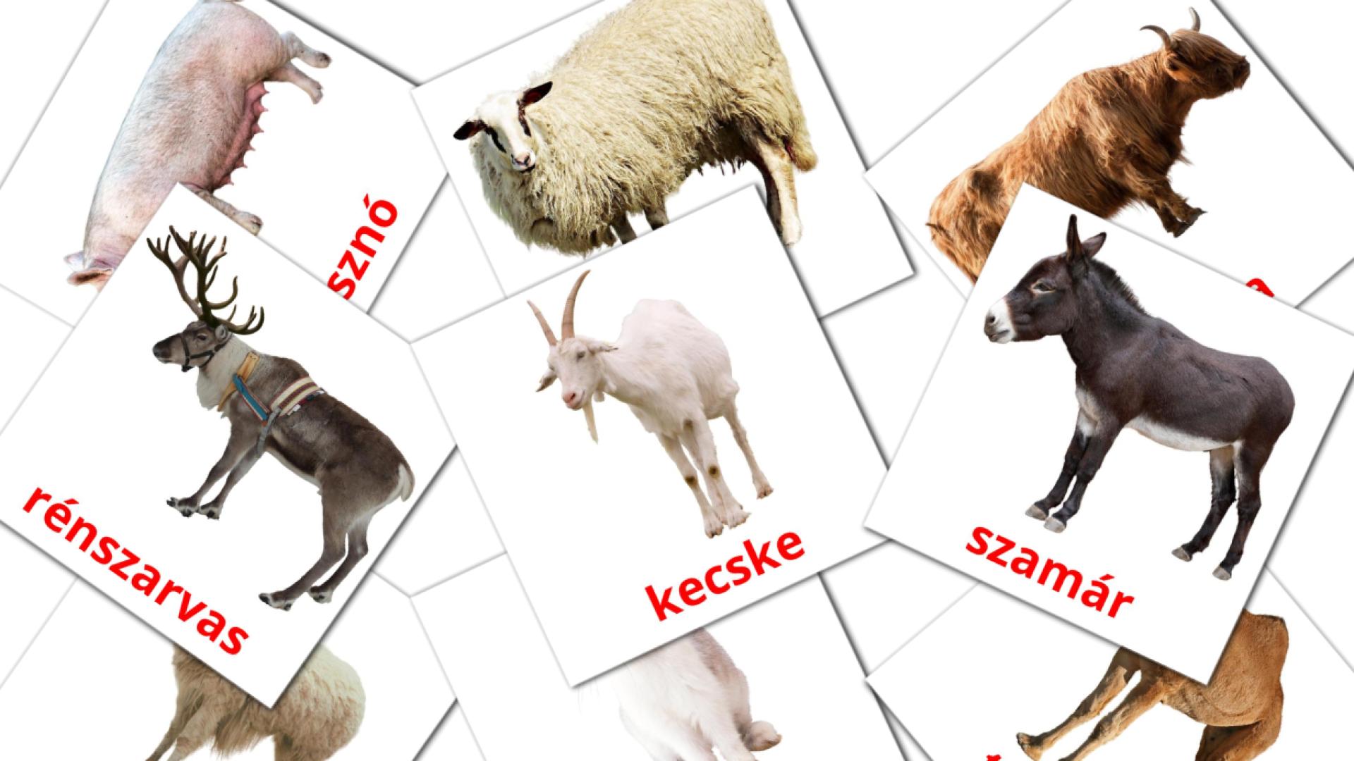 15 Bildkarten für Farm állatok