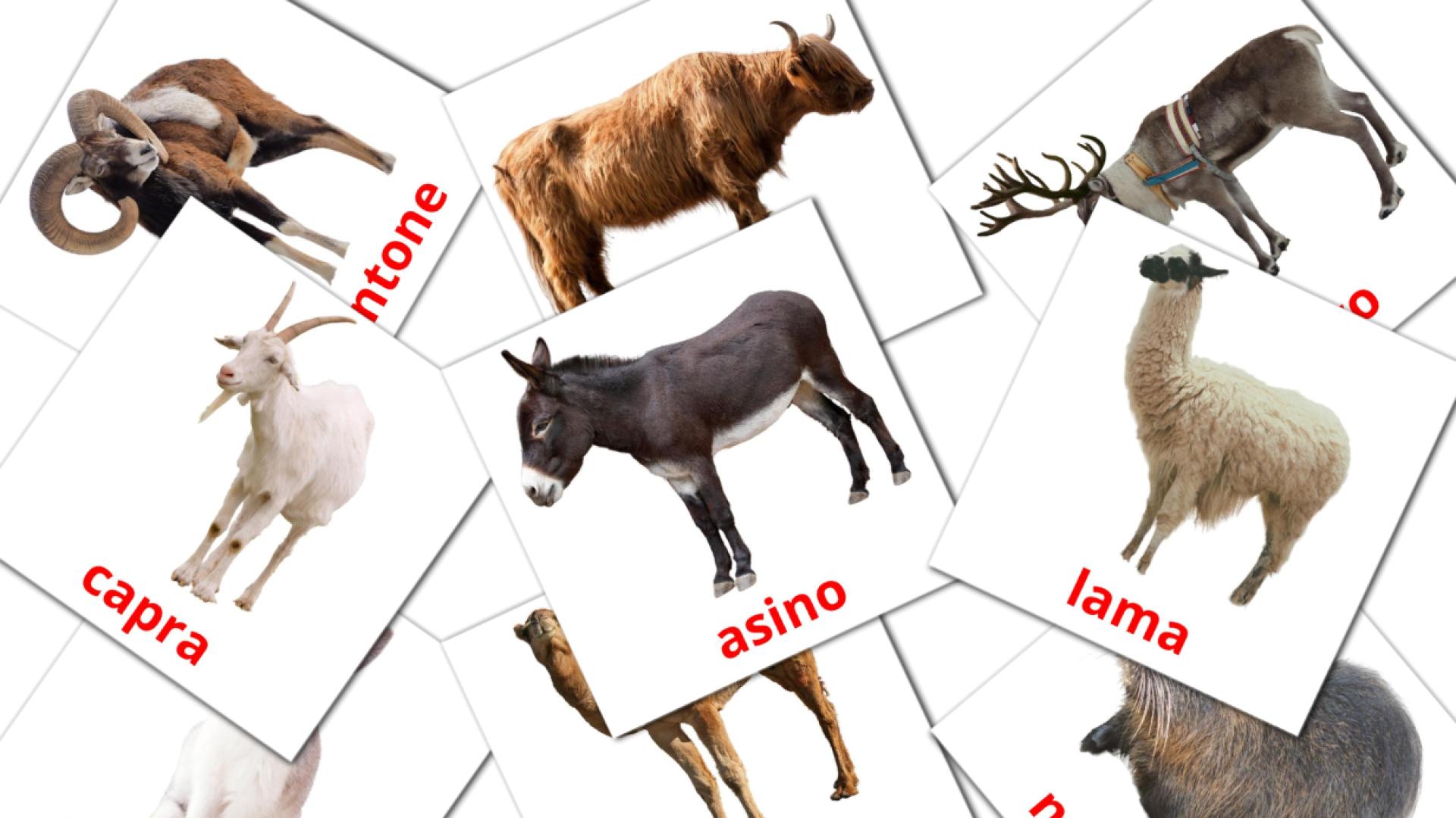 15 tarjetas didacticas de Animali da fattoria