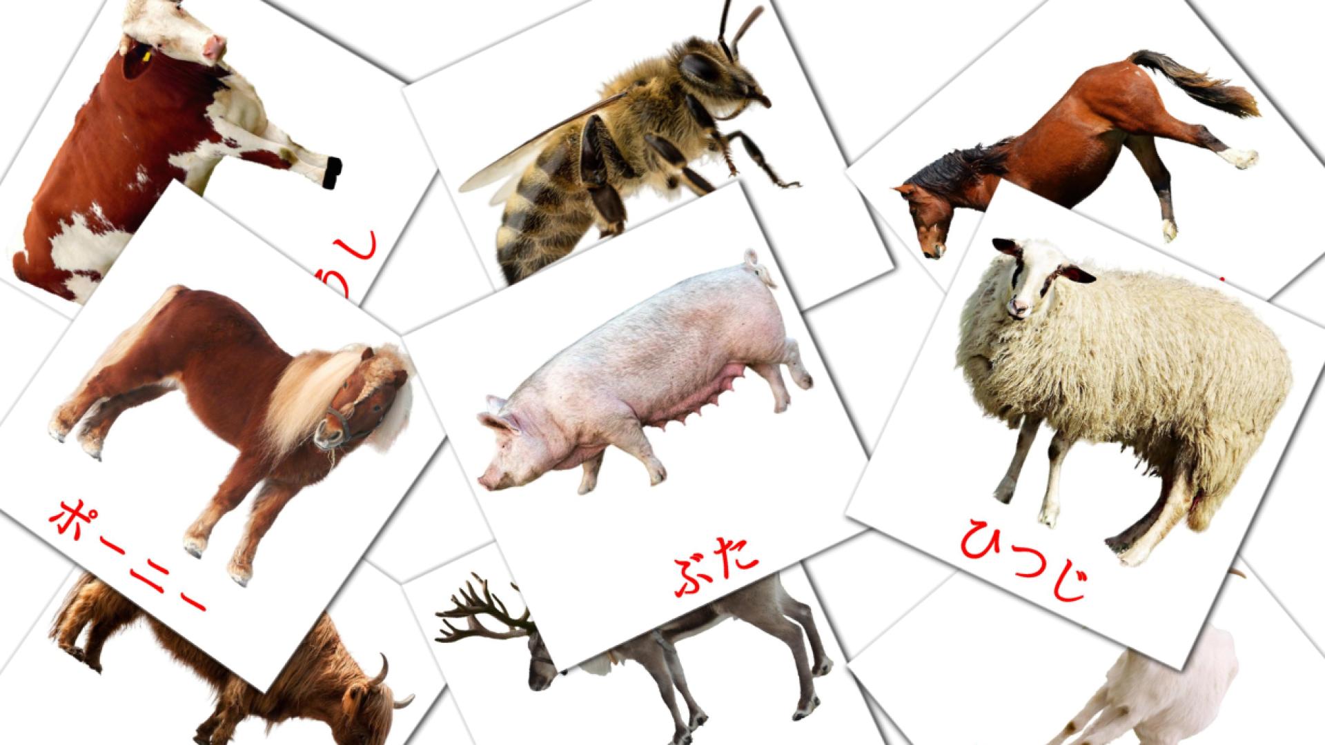 15 tarjetas didacticas de ファームの動物