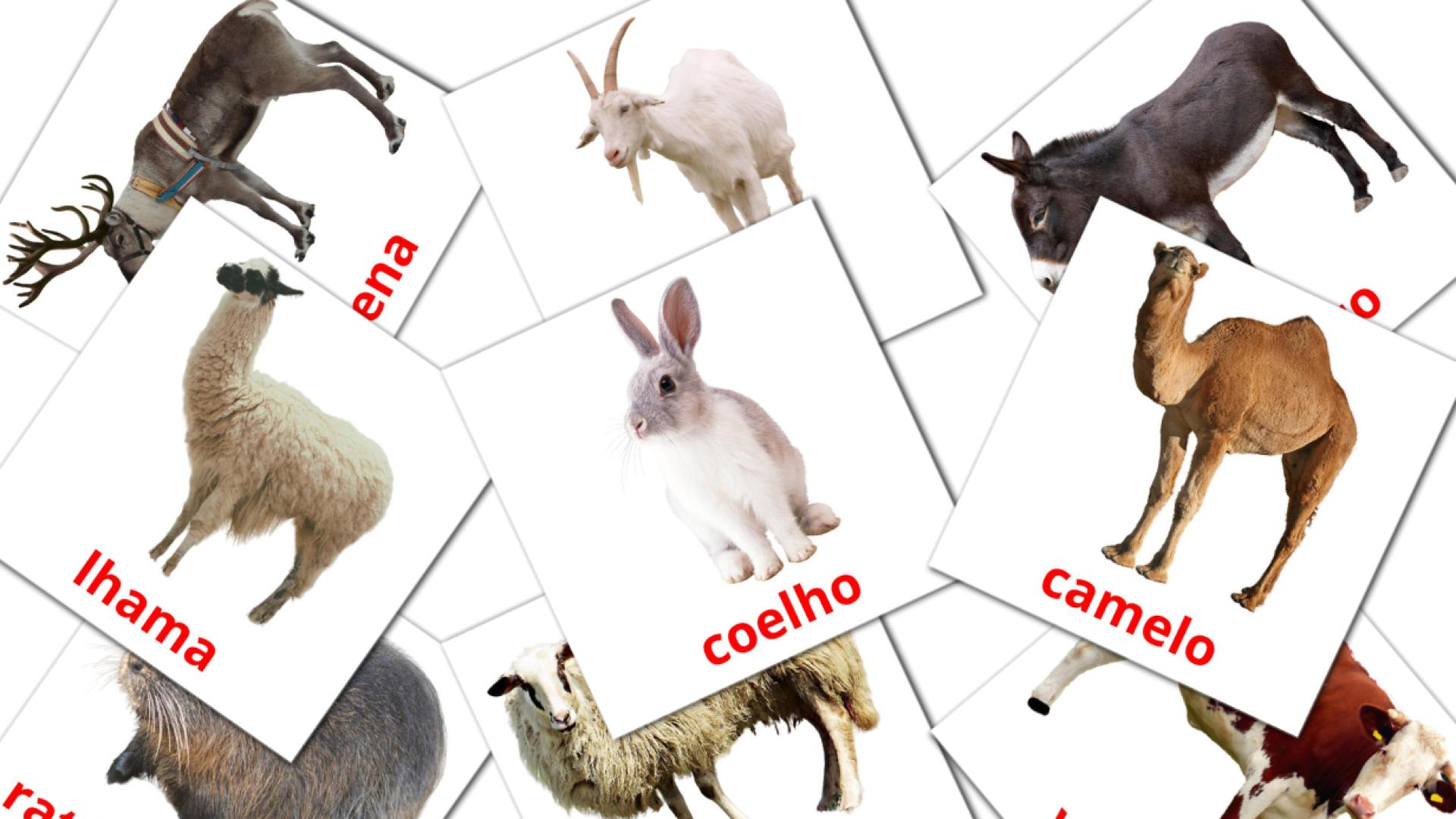 15 tarjetas didacticas de Animais da Fazenda